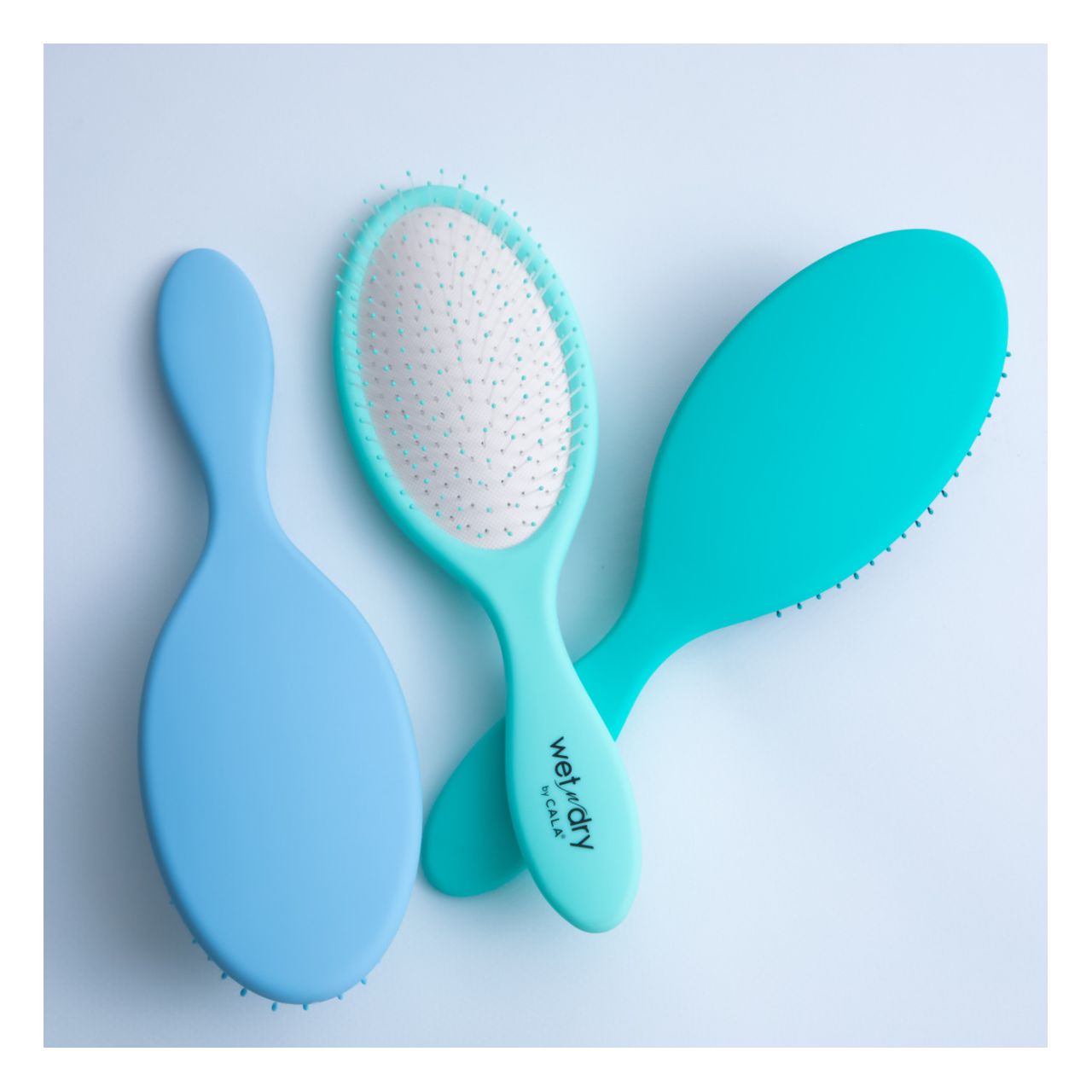 Brosse à Cheveux - Wet-N-Dry Detangling Hair Brush