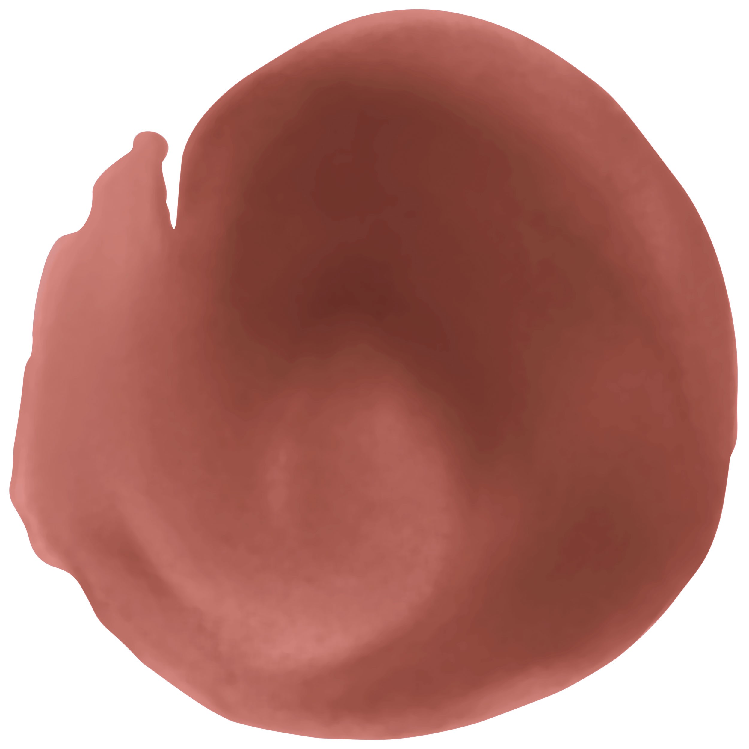 Superstay 24 Color Coffee Edition -- Flüssig-Lippenstift