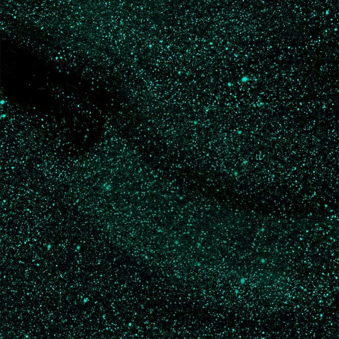 Vernis à Ongles Gel - Island Wave Collection Vernis à Ongles Gel - Island Wave Collection