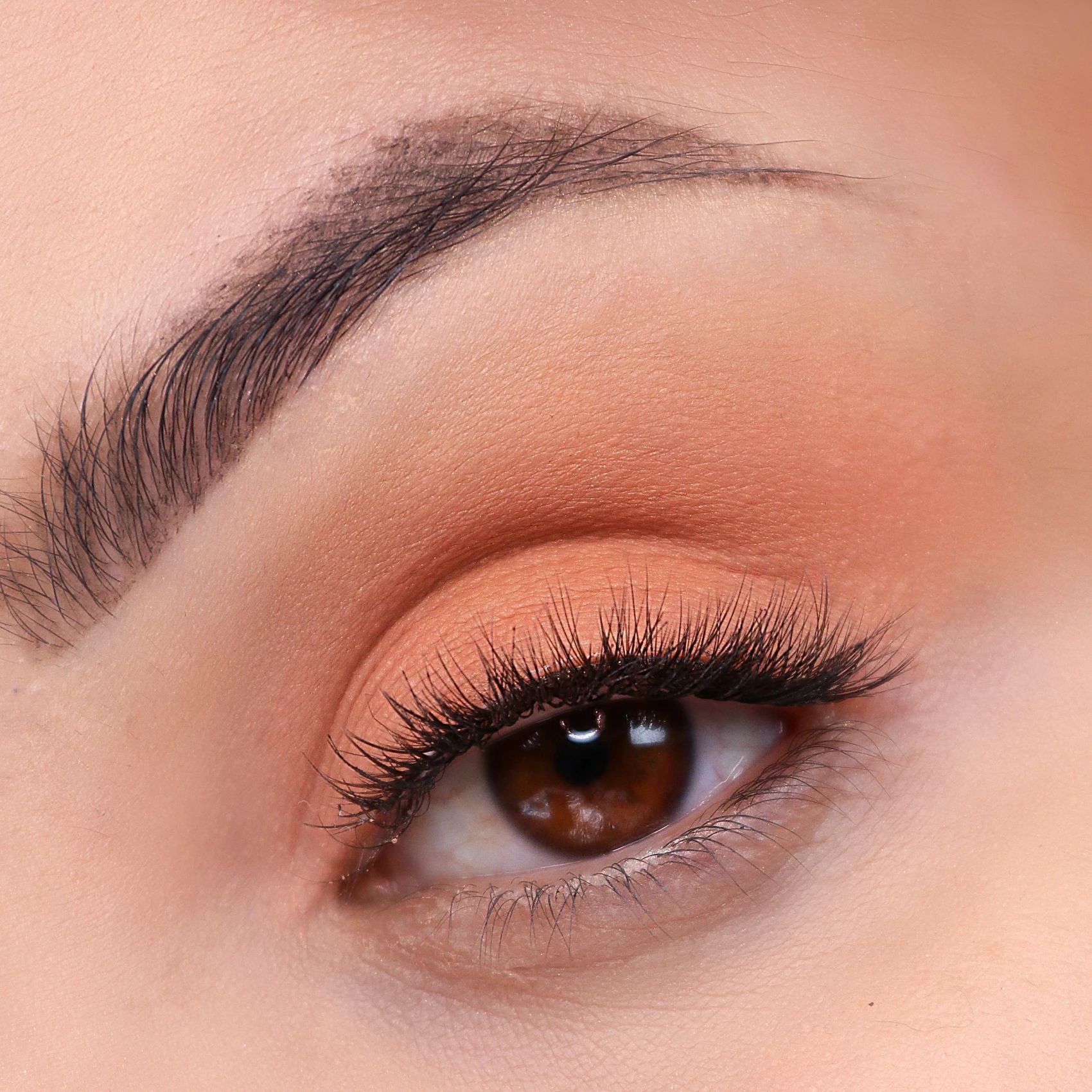 Signature Eyeshadow Palette -- Lidschatten-Palette
