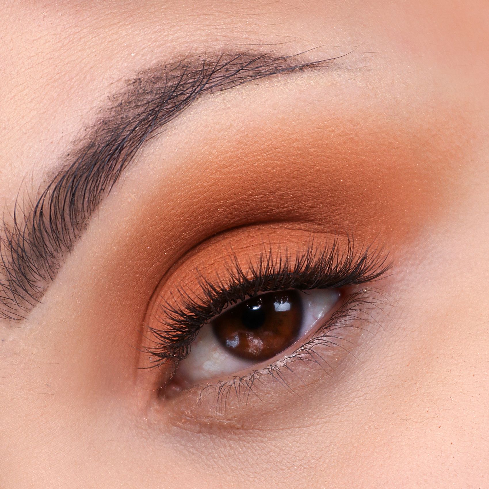 Pro Palette -- Lidschatten-Palette Pro Palette -- Lidschatten-Palette
