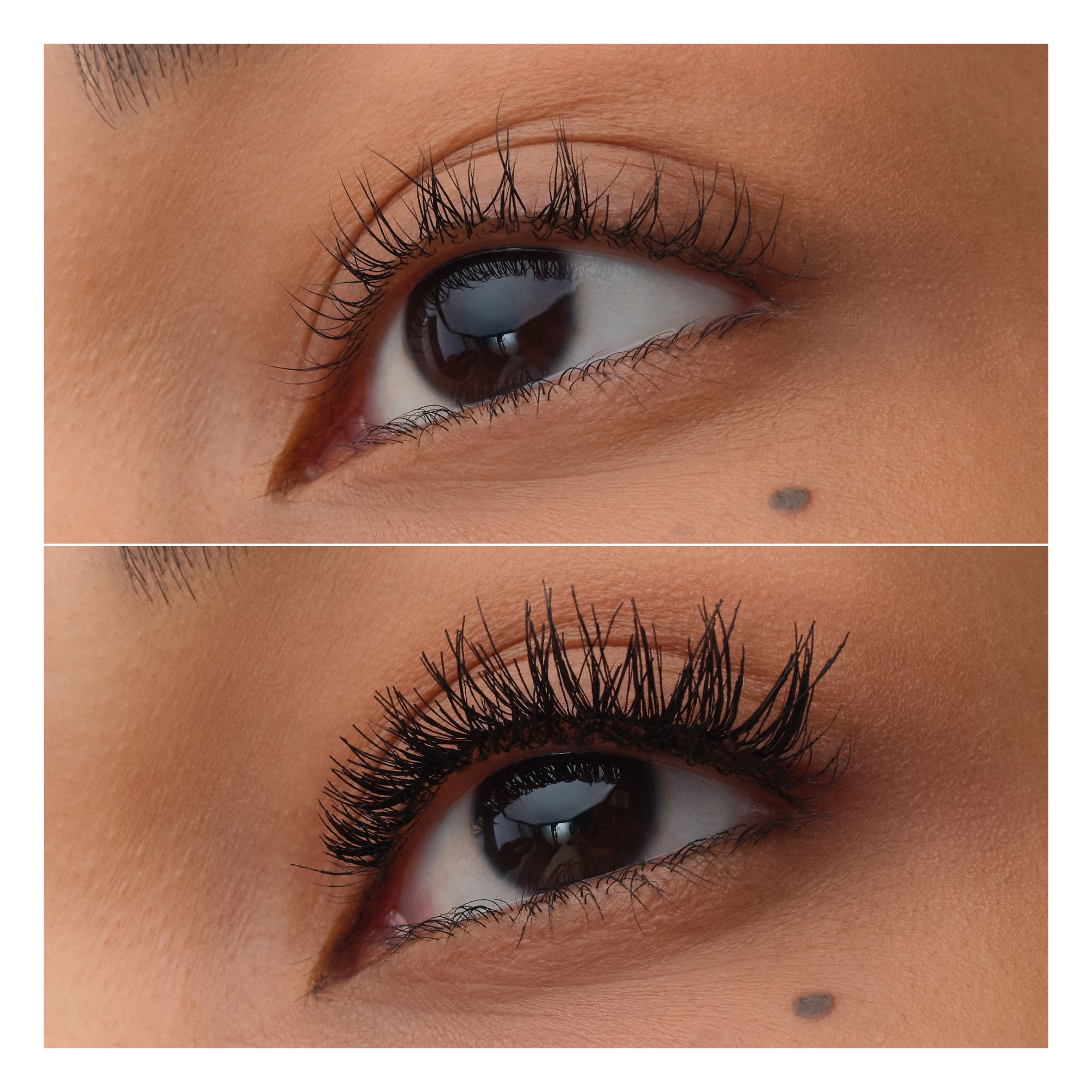Faked Everyday Natural Lashes Faked Everyday Natural Lashes