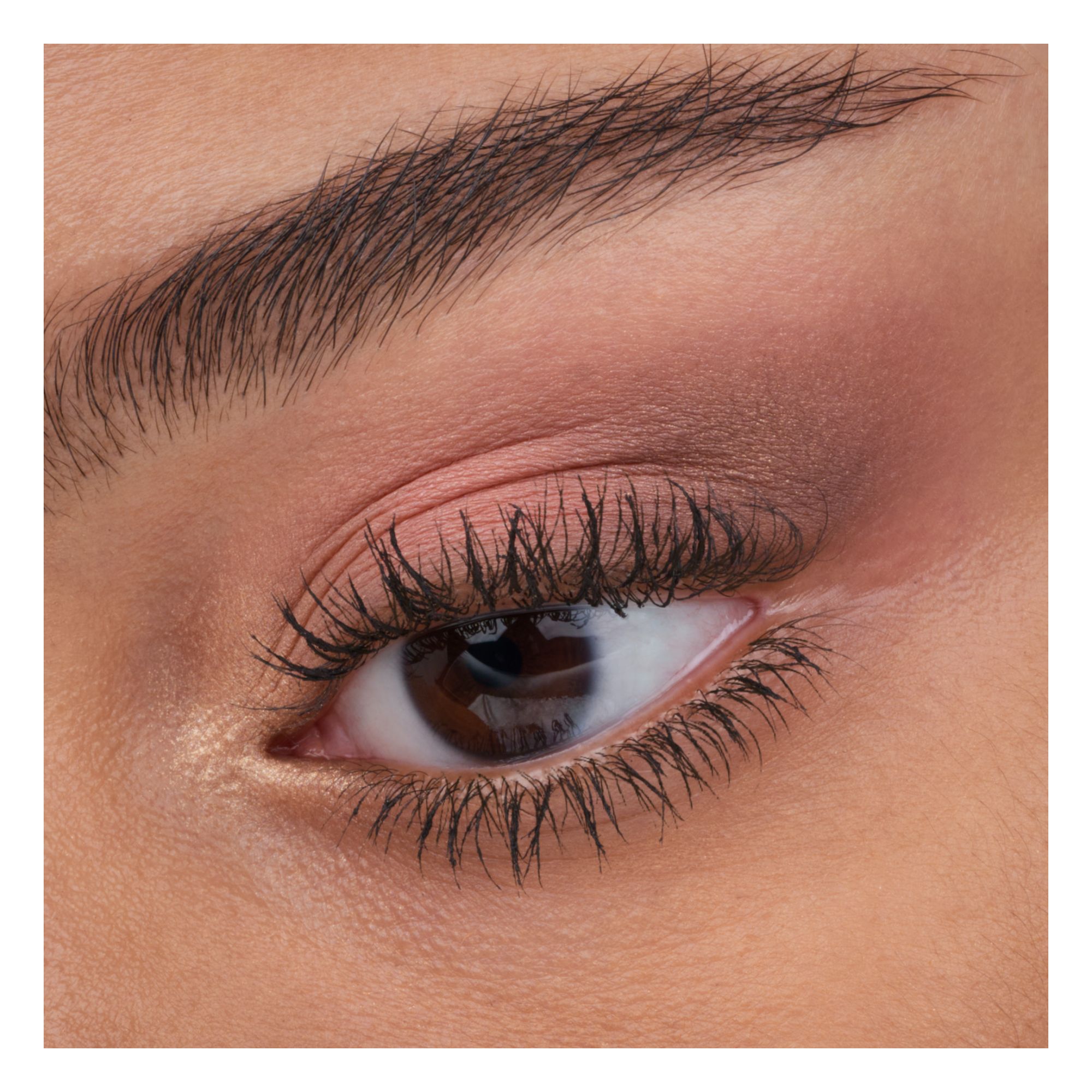 Fards à Paupières, Rouge & Bronzer - Eye & Cheek Palette Fards à Paupières, Rouge & Bronzer - Eye & Cheek Palette