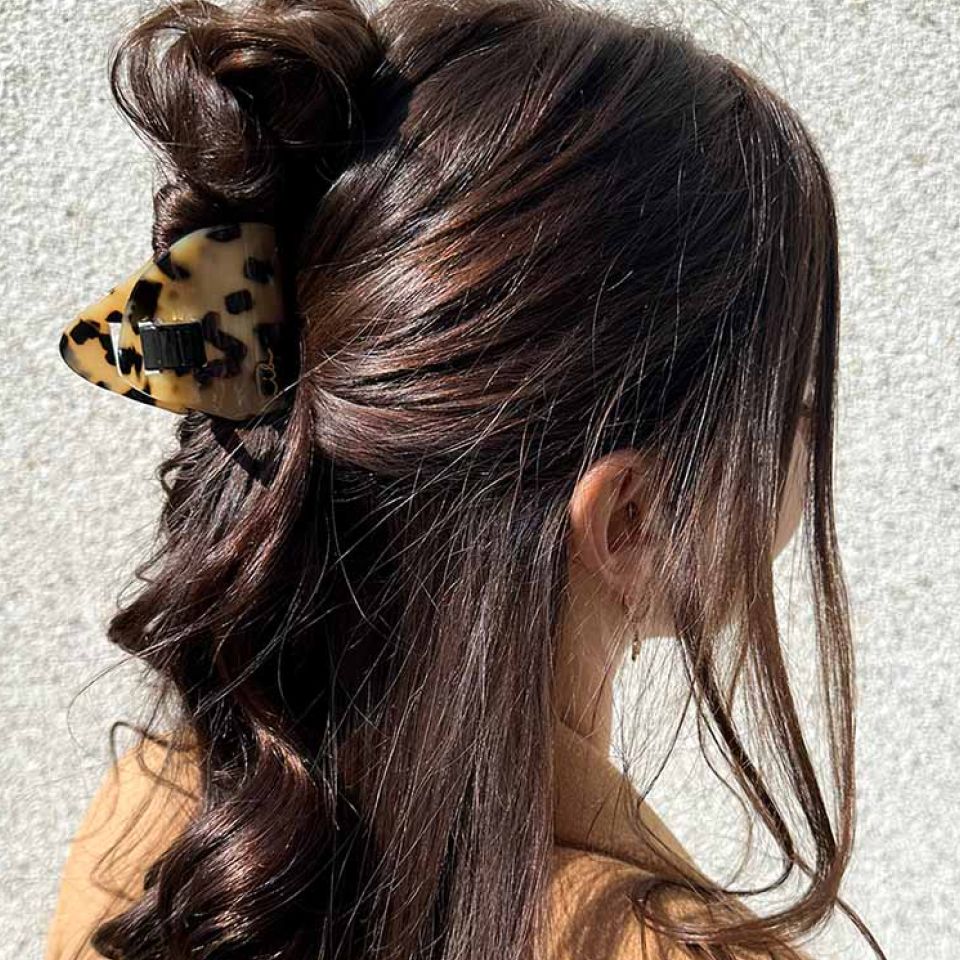 Hair Clip - Everclaw