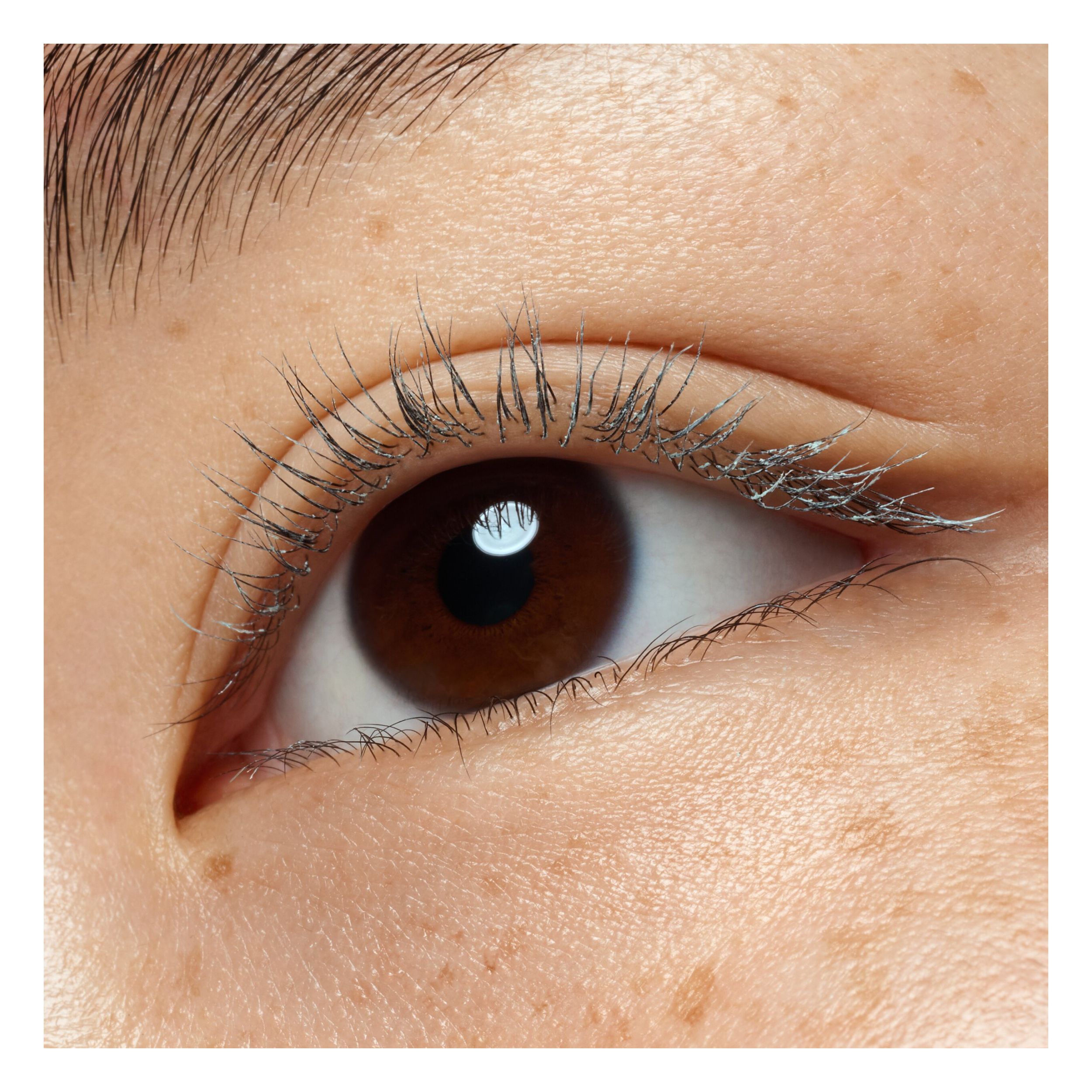 Lash Princess Mascara Primer Lash Princess Mascara Primer