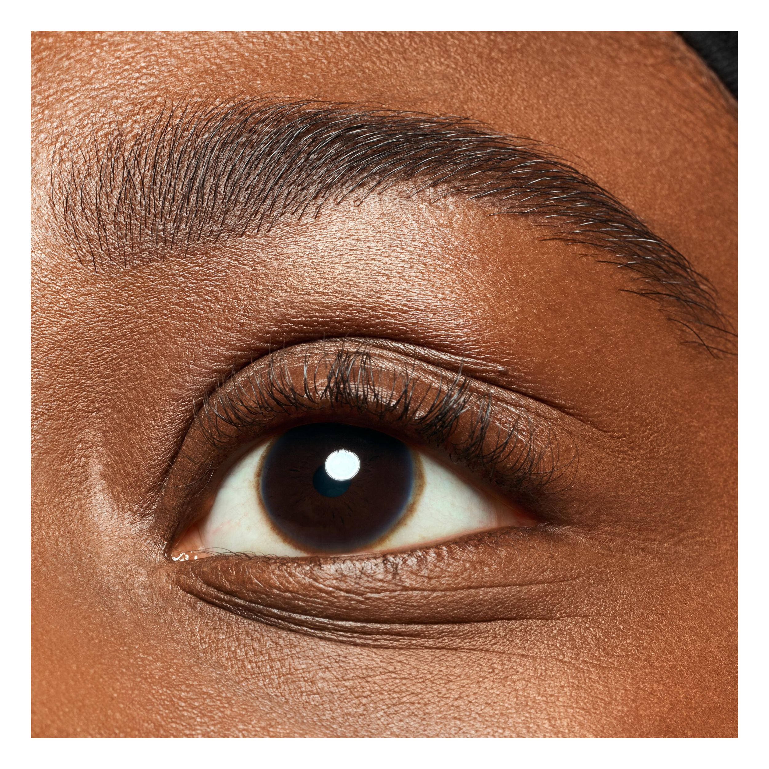 Brow Powder Duo Set Brow Powder Duo Set