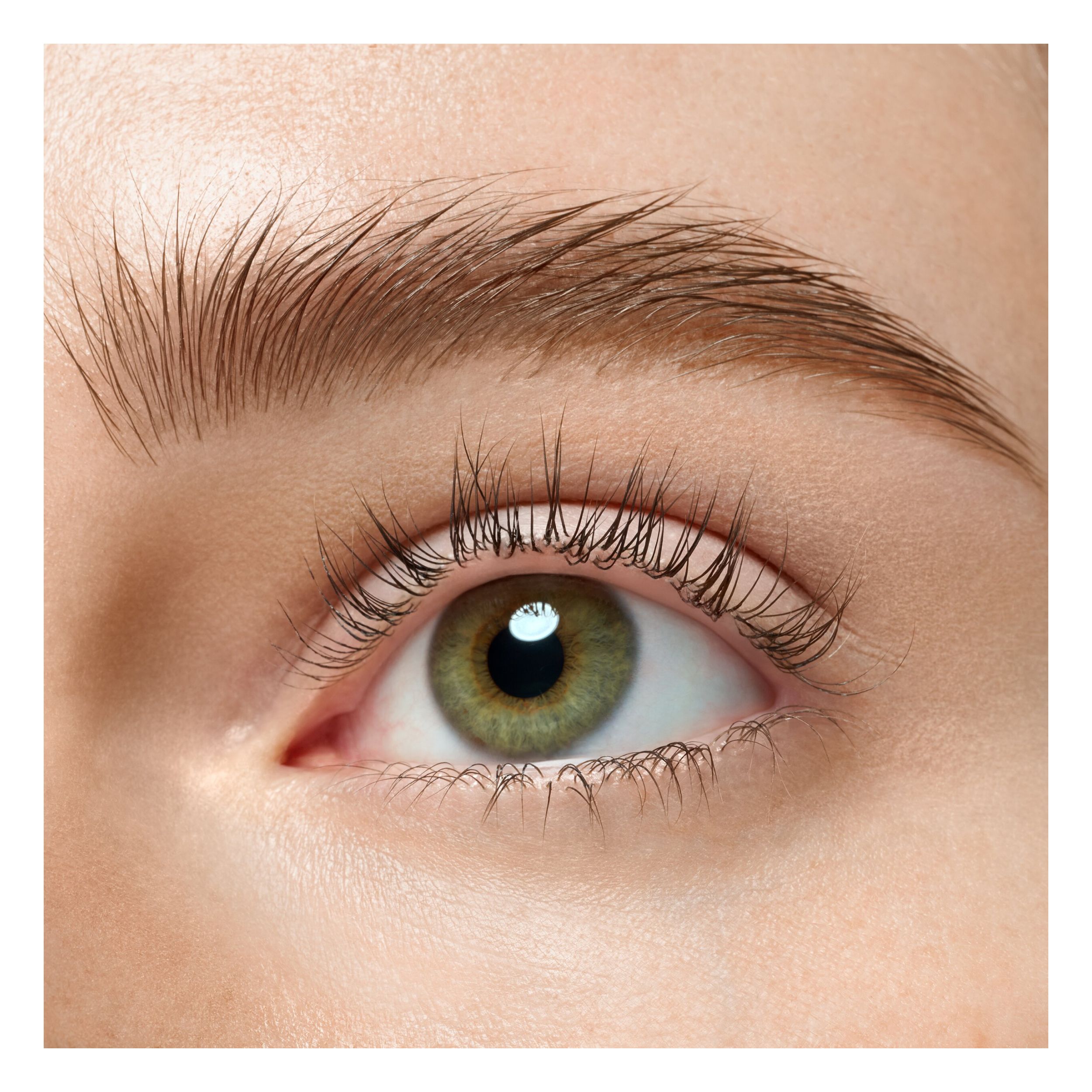 Poudre à Sourcils - Brow Powder Duo Set Poudre à Sourcils - Brow Powder Duo Set