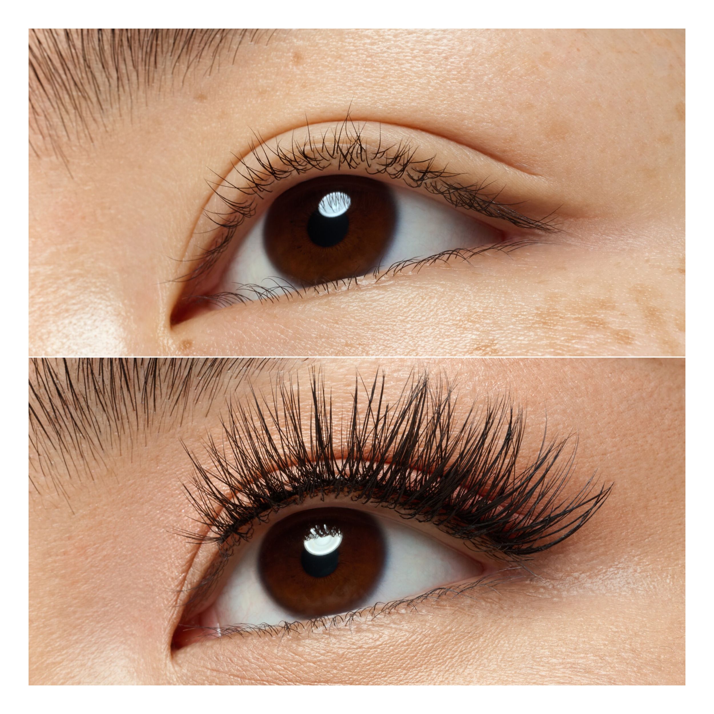 What The Fake! False Lashes - Dramatic Curl What The Fake! False Lashes - Dramatic Curl