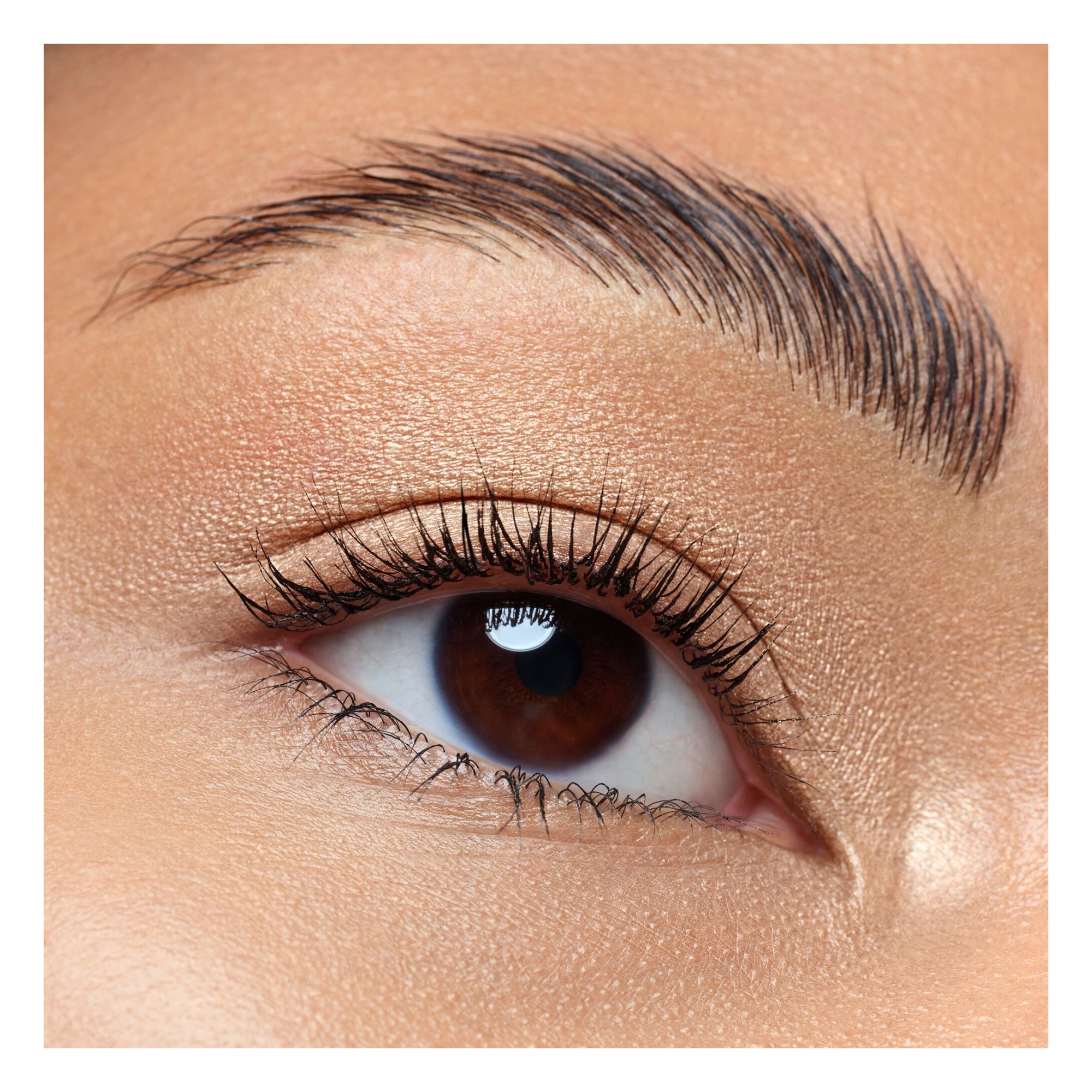 Art Couleurs Eyeshadow Art Couleurs Eyeshadow