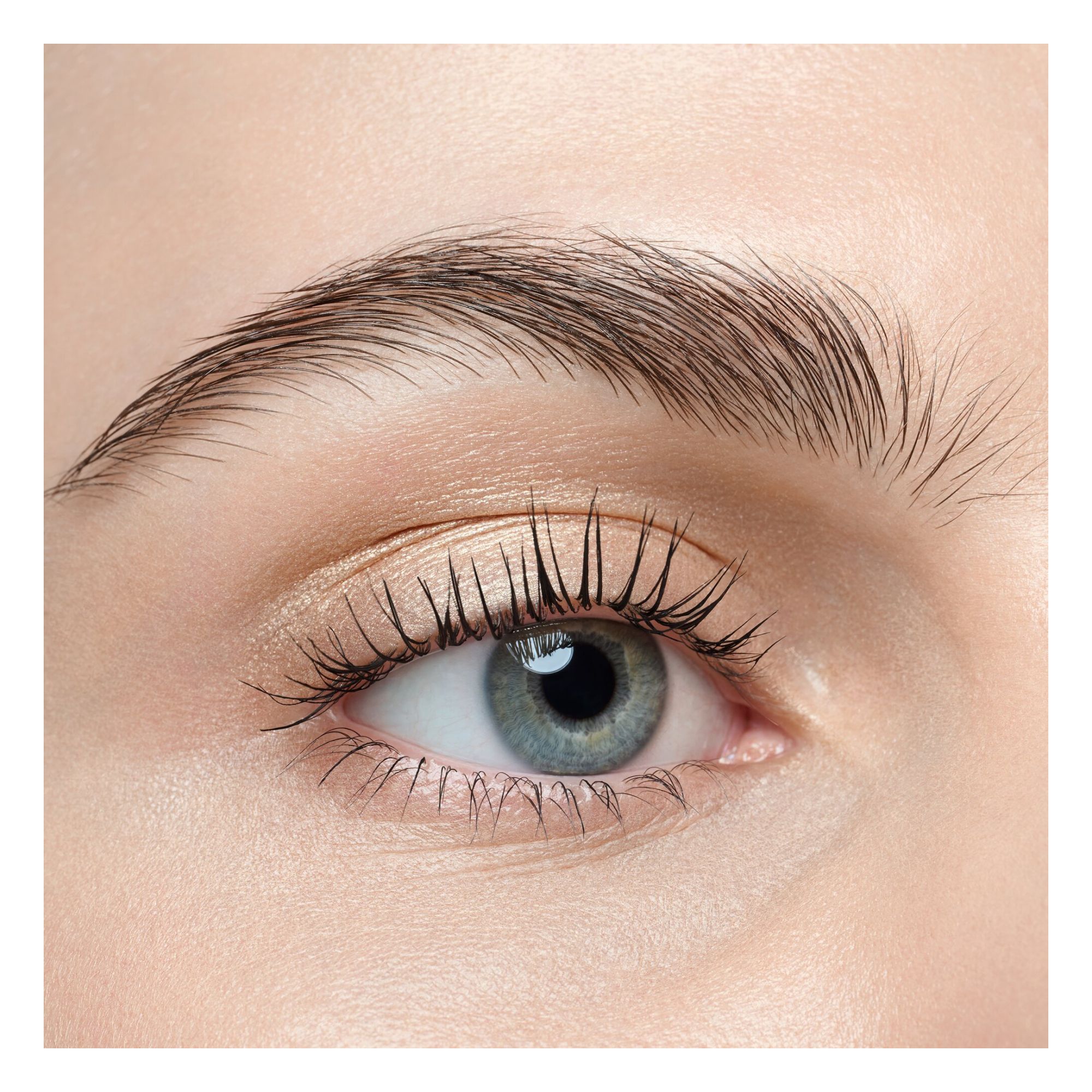 Art Couleurs Eyeshadow Art Couleurs Eyeshadow