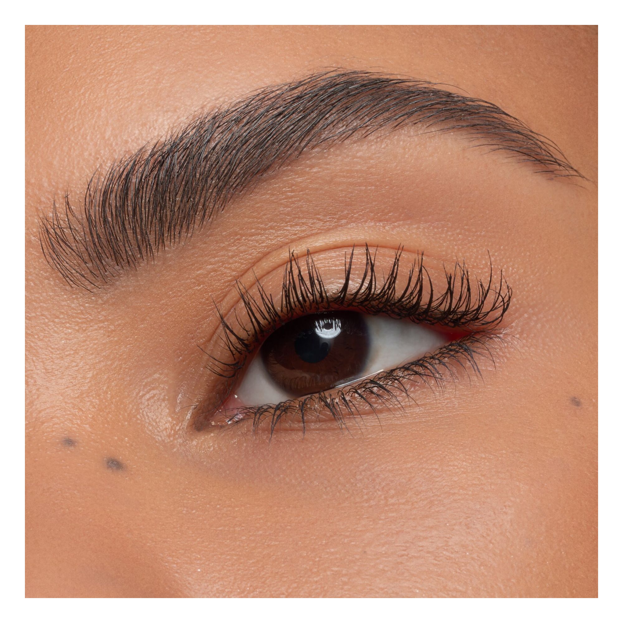 Base Fixante Pour Les Cils - Curl Fixing Lash Base Base Fixante Pour Les Cils - Curl Fixing Lash Base