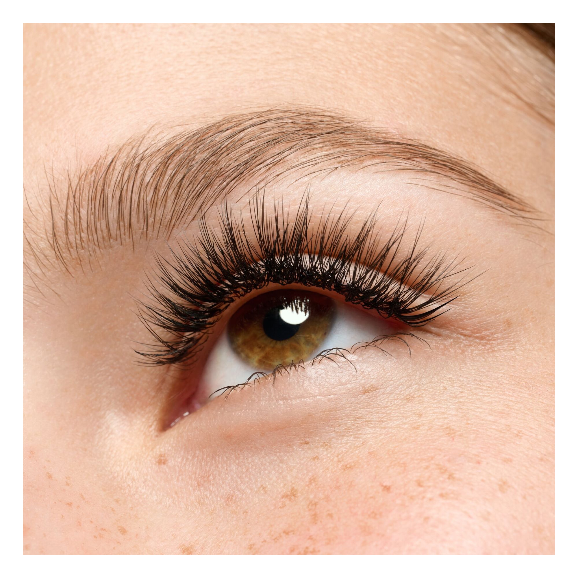 Faux Cils - What The Fake! False Lashes - Natural Faux Cils - What The Fake! False Lashes - Natural