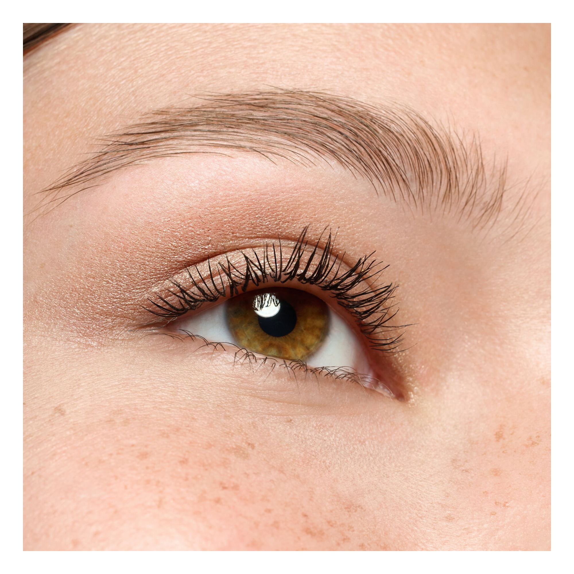 Fards Crème - Cream Eyeshadow Fards Crème - Cream Eyeshadow