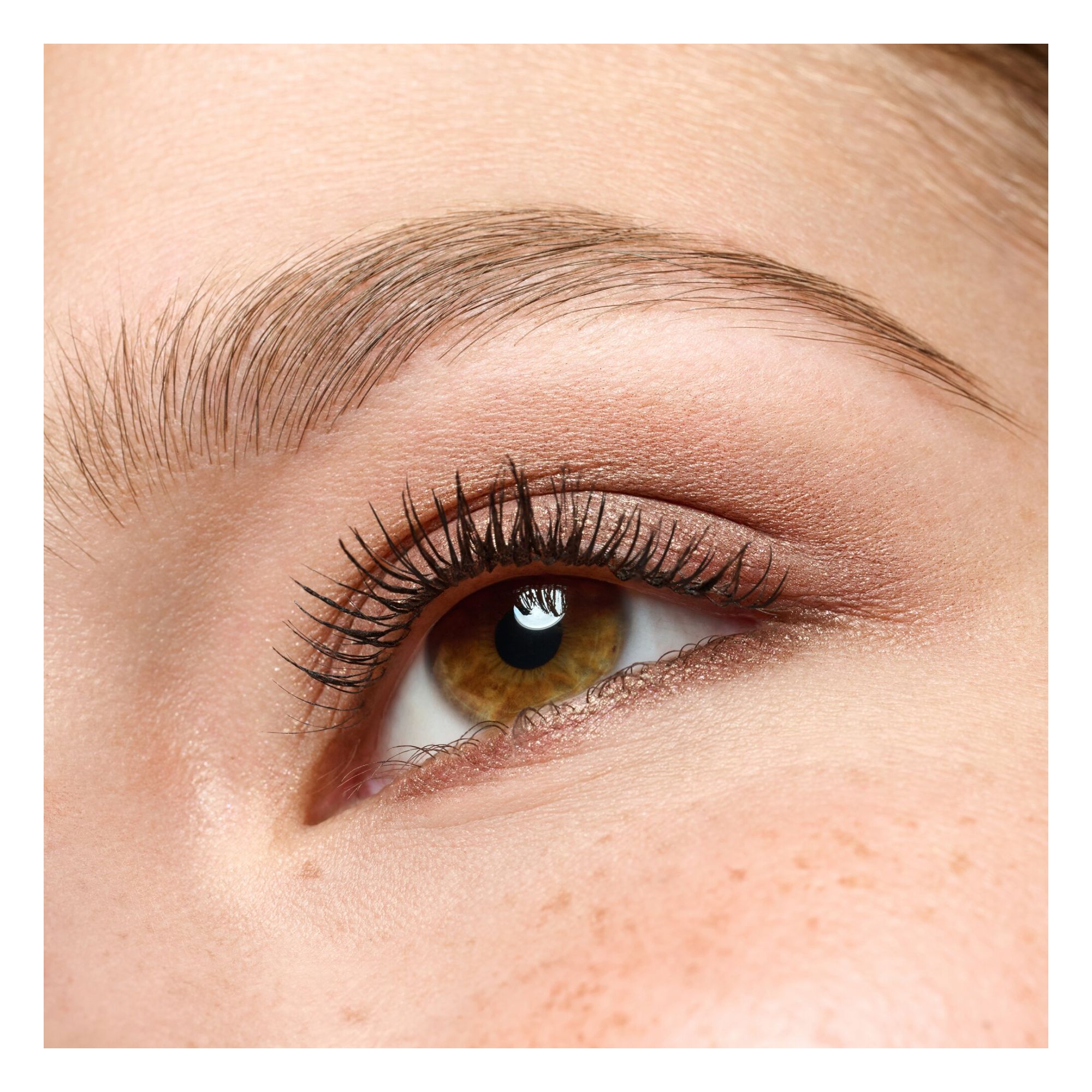 Fards Crème - Cream Eyeshadow Fards Crème - Cream Eyeshadow