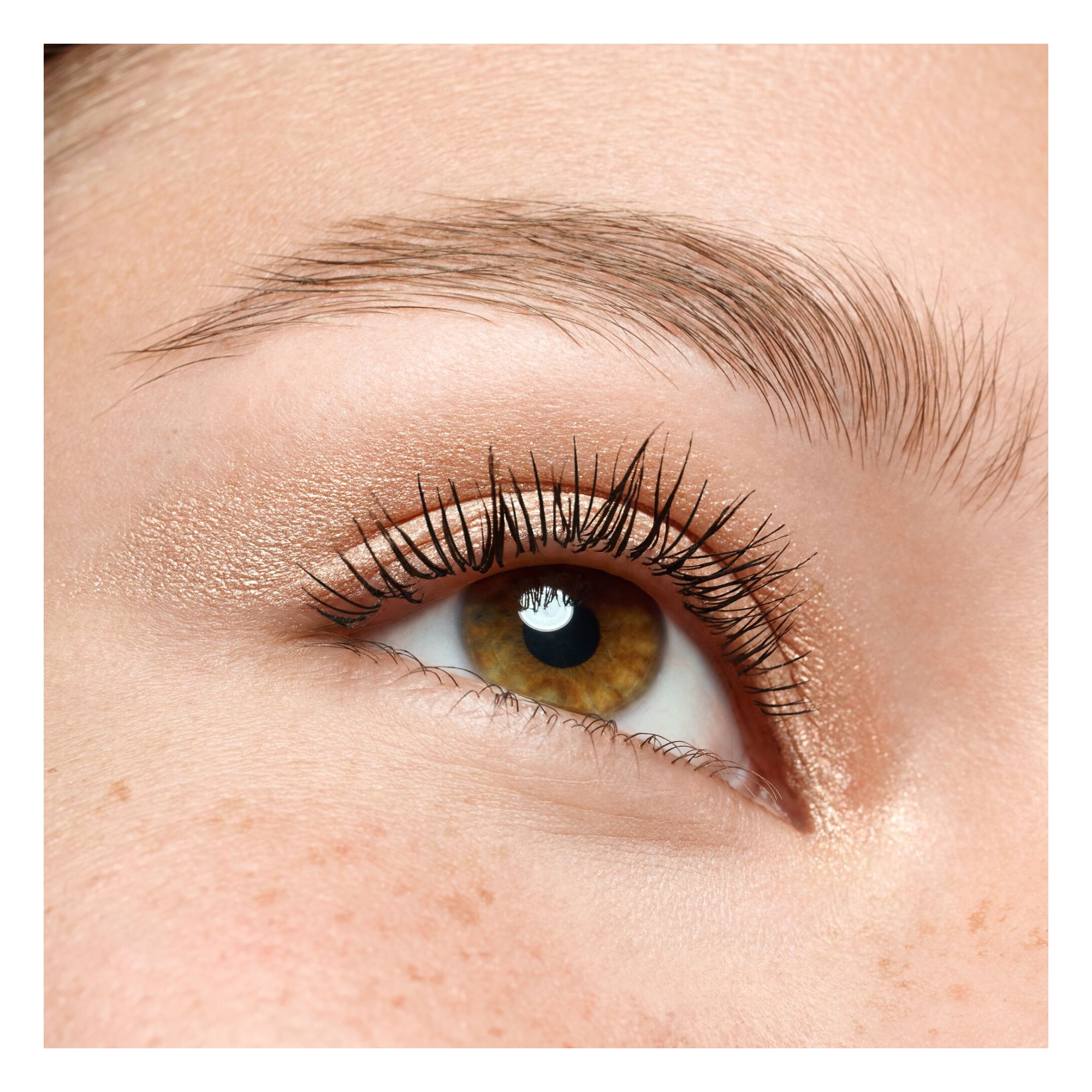 Fards Crème - Cream Eyeshadow Fards Crème - Cream Eyeshadow