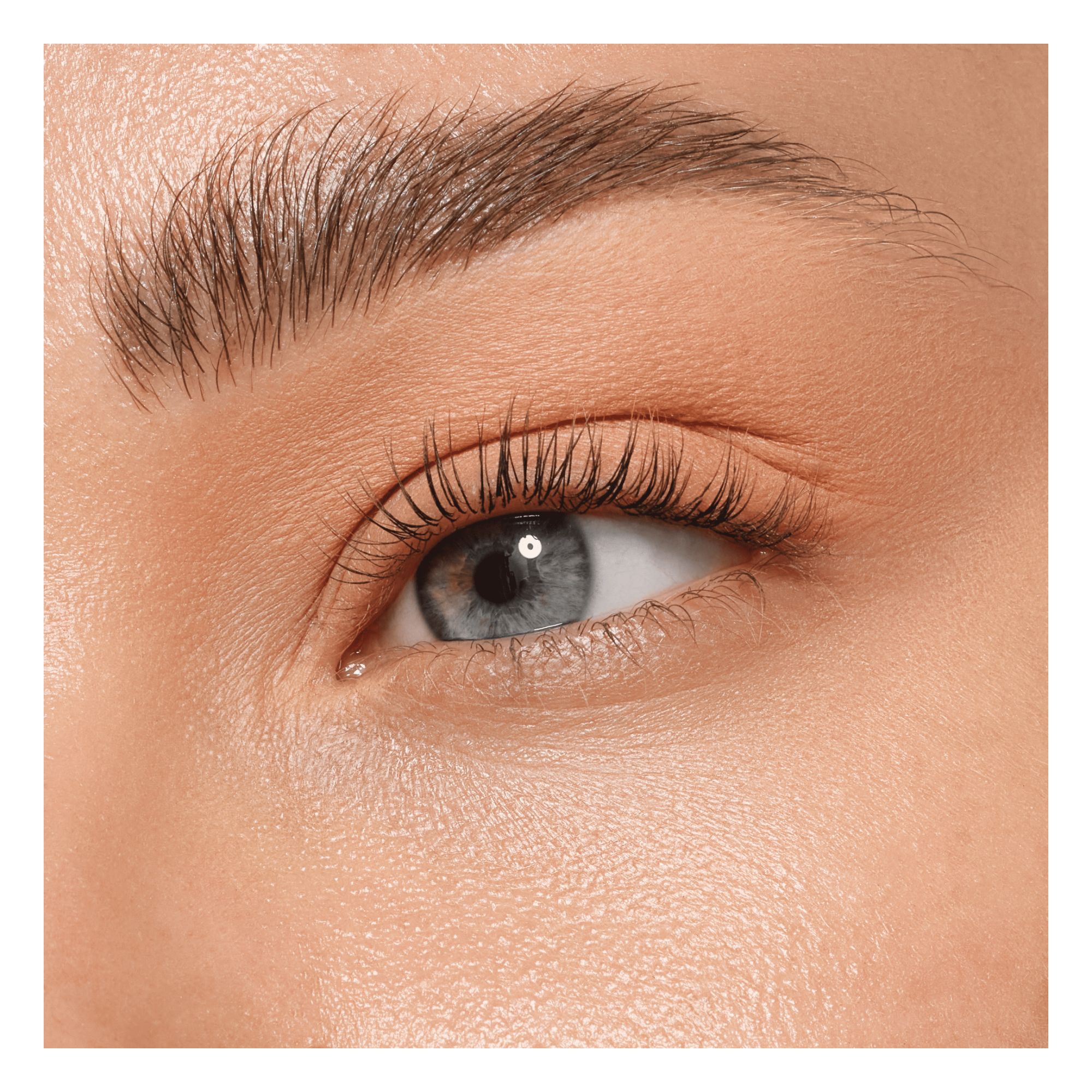 Fard à Paupières - Art Couleurs Eyeshadow Fard à Paupières - Art Couleurs Eyeshadow