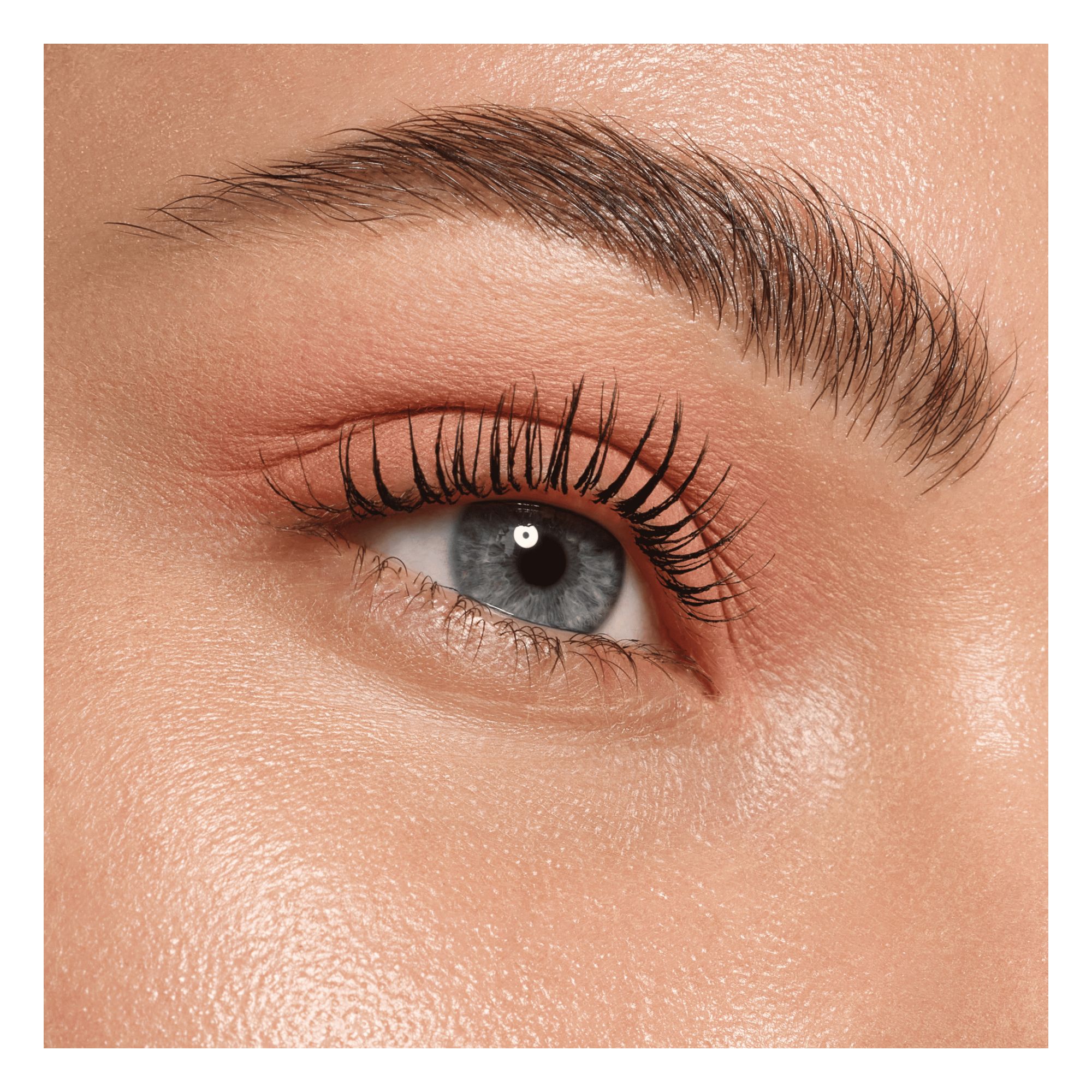 Fard à Paupières - Art Couleurs Eyeshadow Fard à Paupières - Art Couleurs Eyeshadow