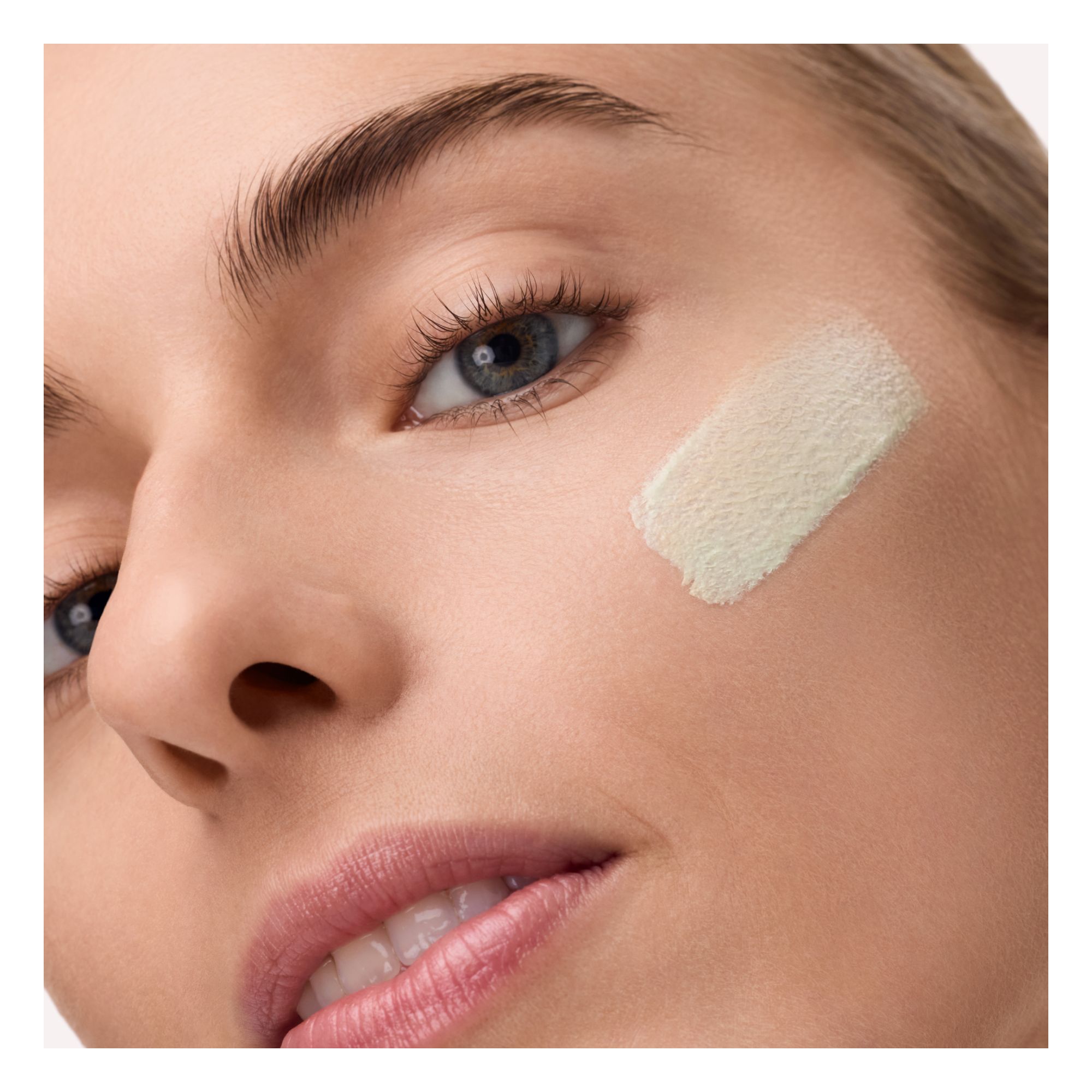 CC Skin Perfector CC Skin Perfector