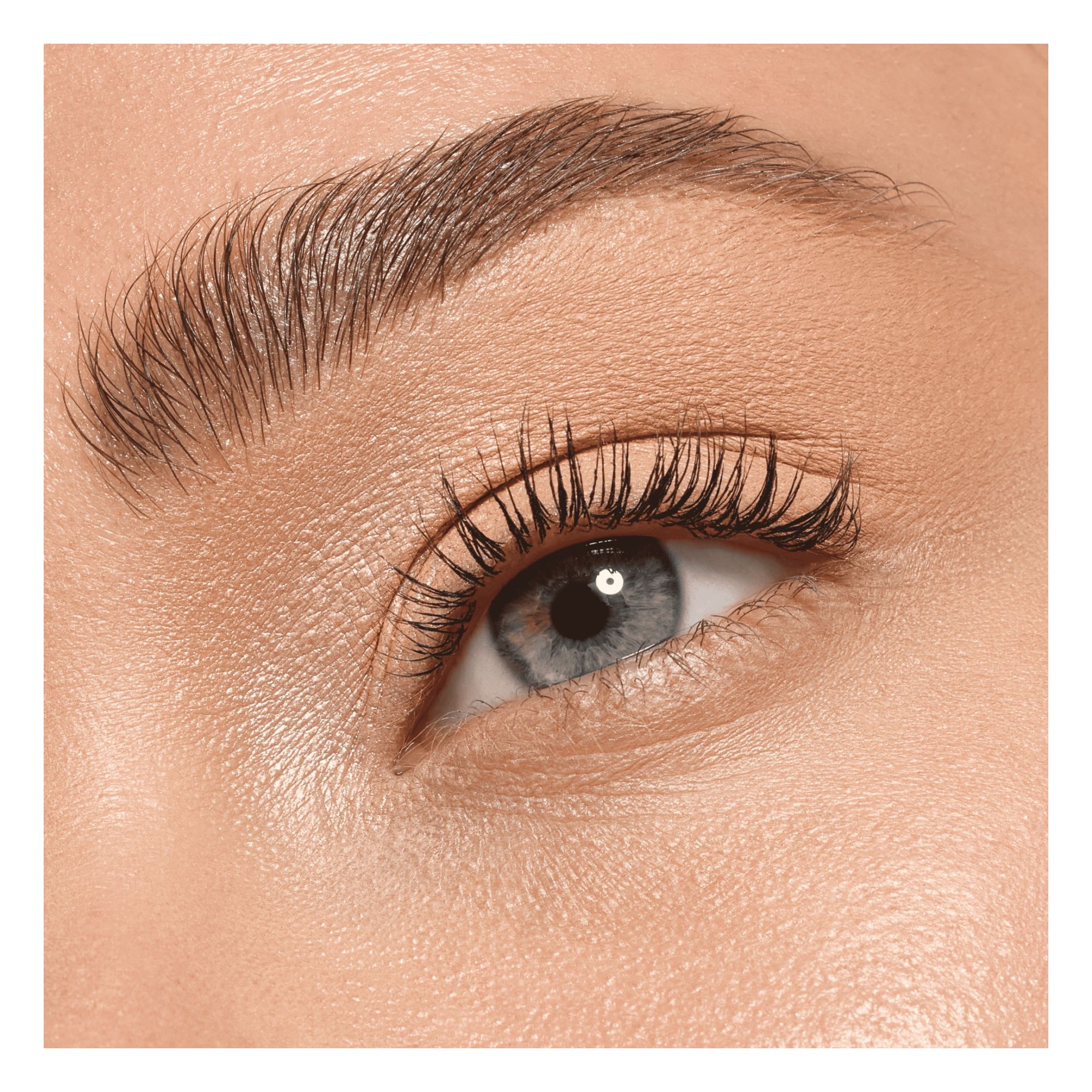 Palette de Fards à Paupières Mini - Daily Duo Eyeshadow Palette de Fards à Paupières Mini - Daily Duo Eyeshadow