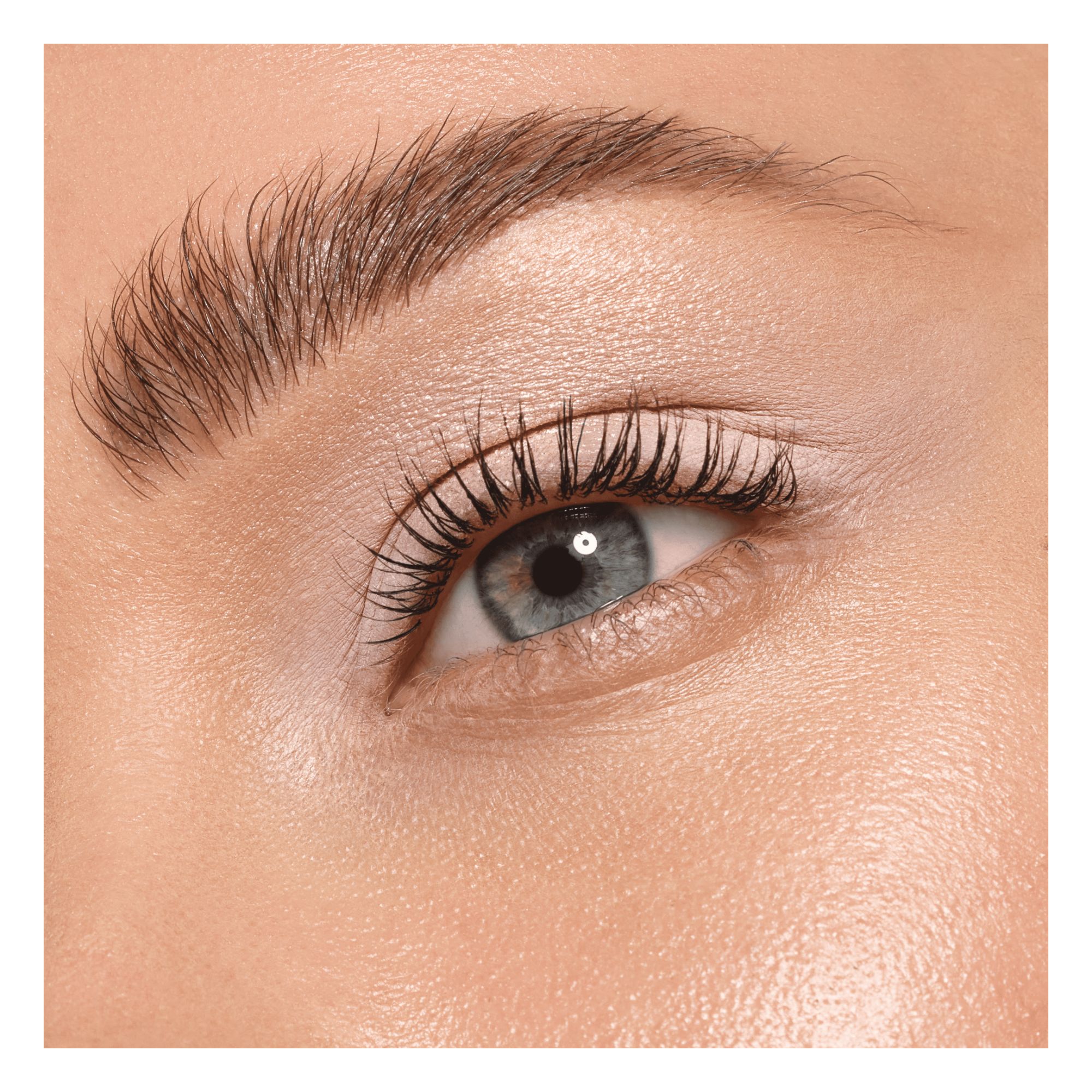 Daily Duo Eyeshadow