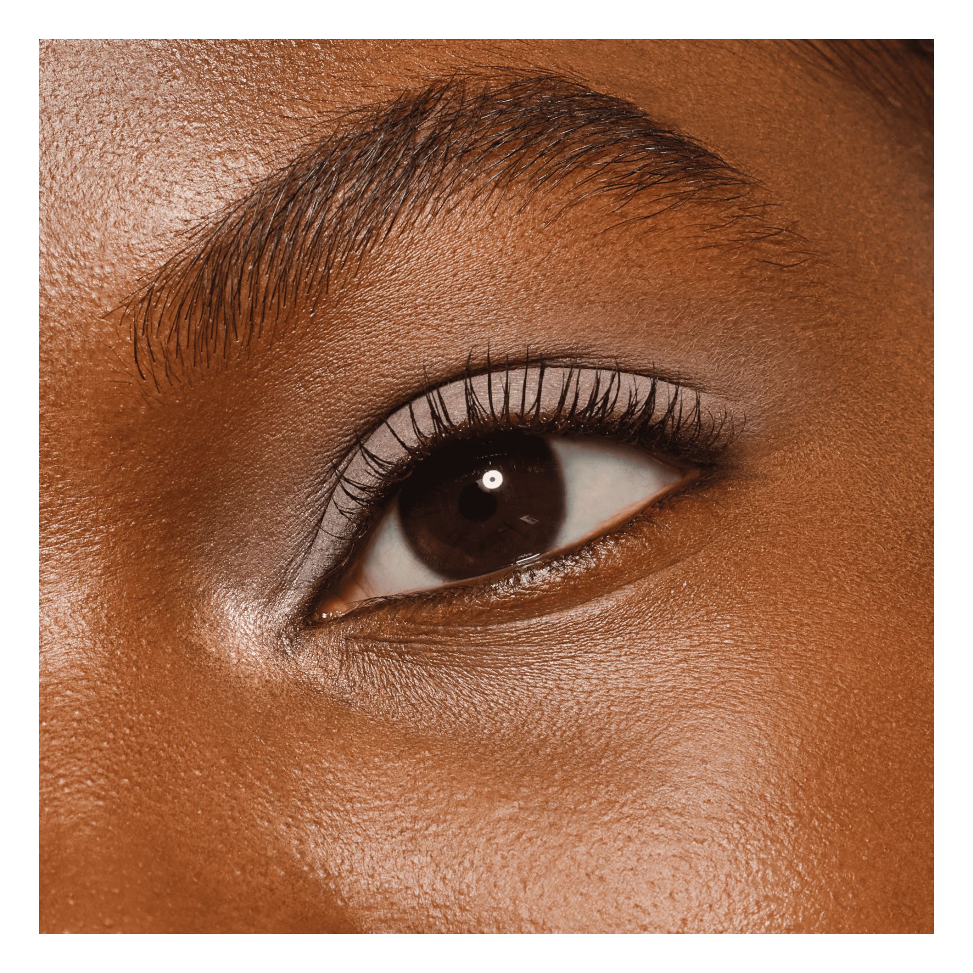 Daily Duo Eyeshadow Daily Duo Eyeshadow