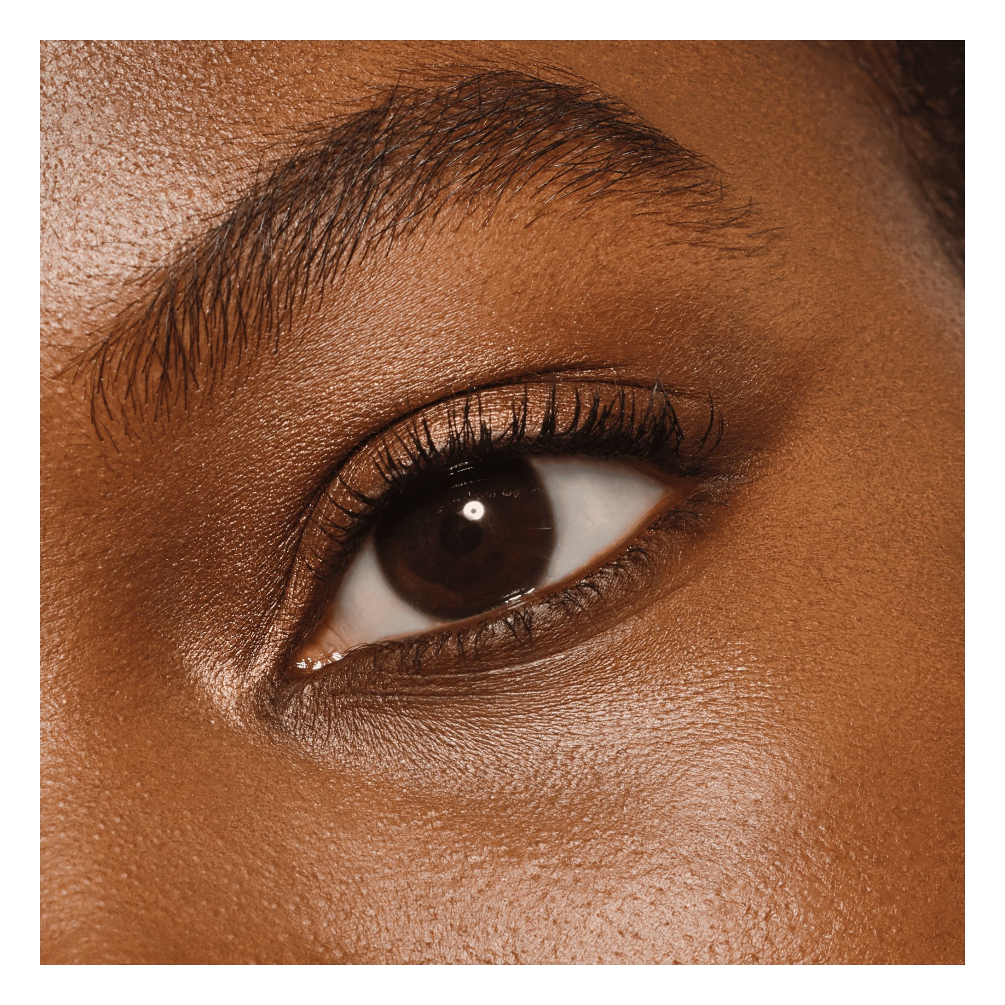 Daily Duo Eyeshadow