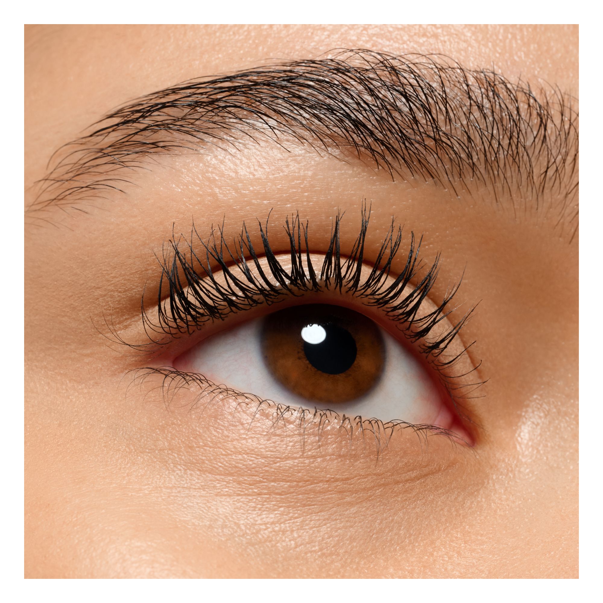 Lash Princess False Lash Effect Mascara Extreme Waterproof