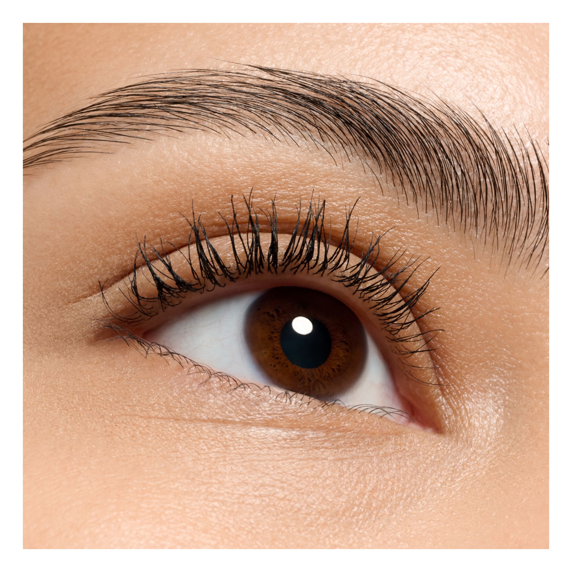 Lash Princess False Lash Effect Mascara Extreme Waterproof