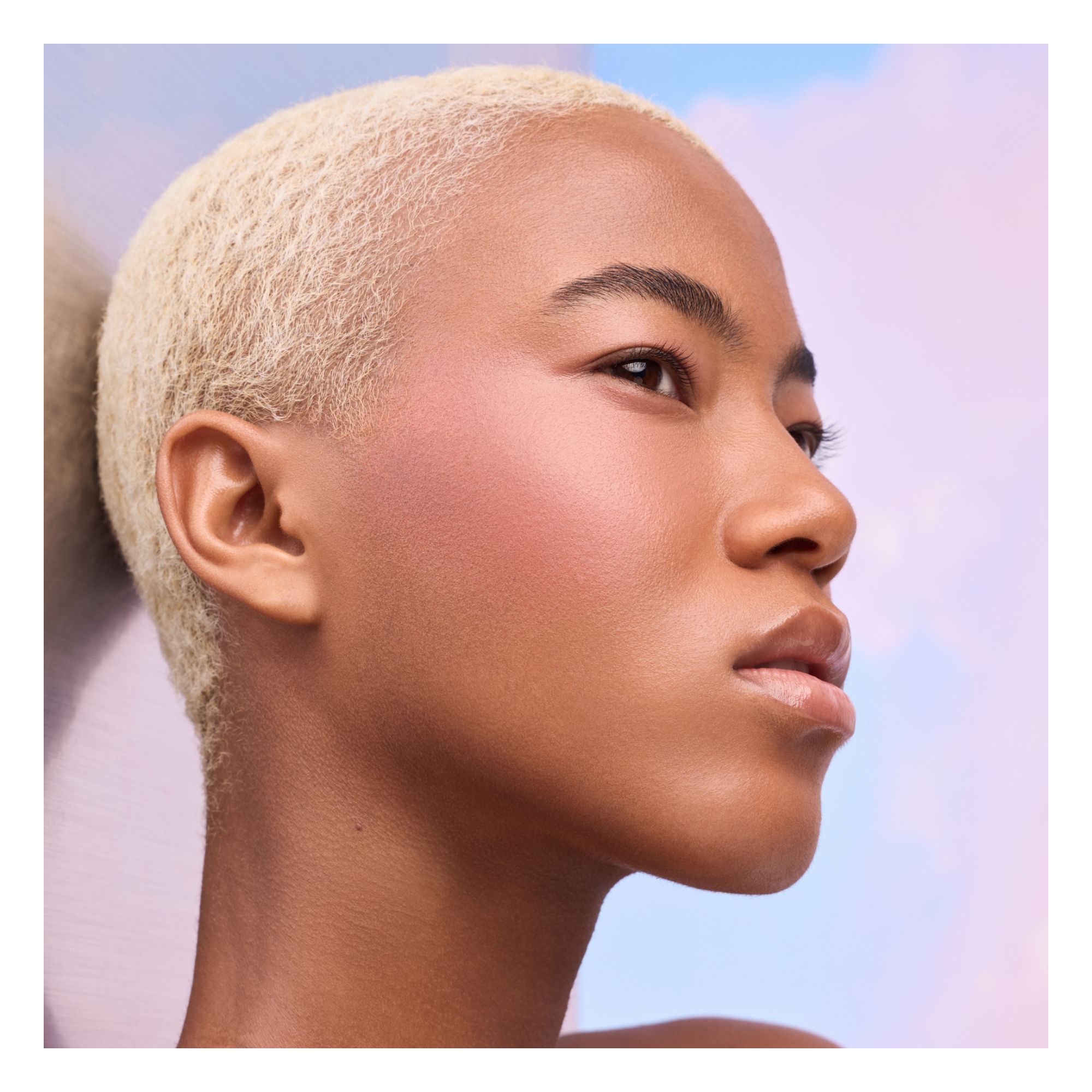 Rouge - Cloud Tint Cushion Blush Rouge - Cloud Tint Cushion Blush