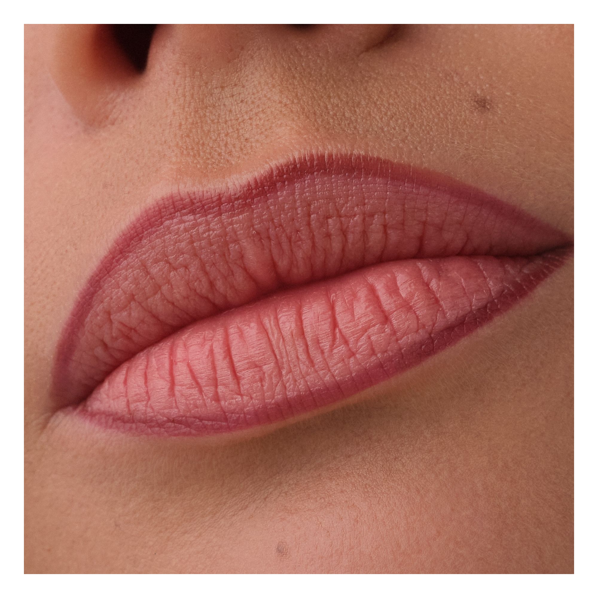 Precision Ink Lip Liner Stain