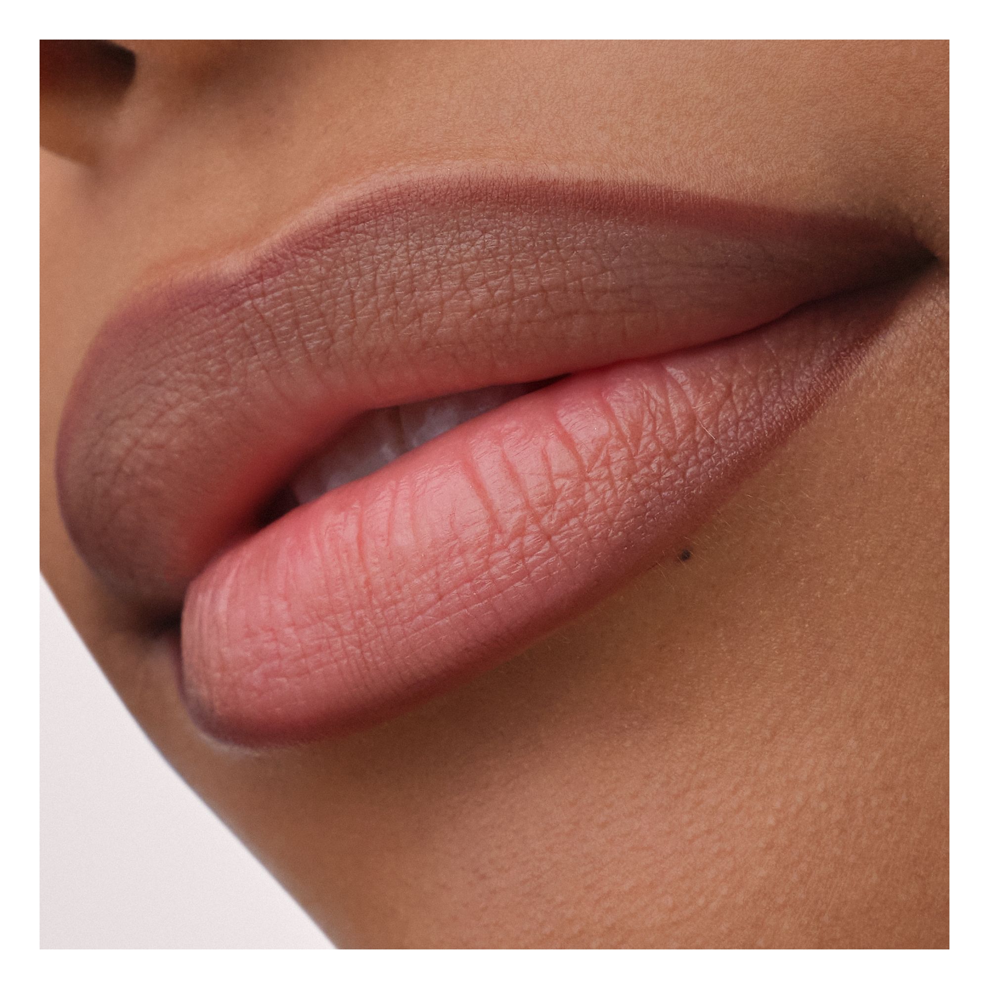 Precision Ink Lip Liner Stain