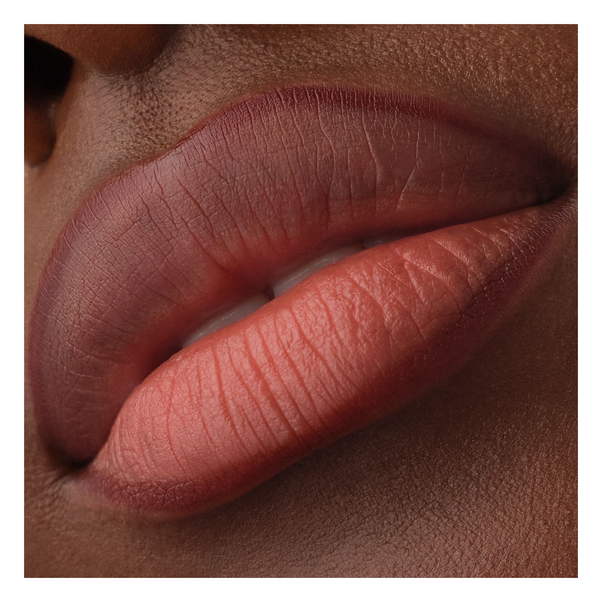 Precision Ink Lip Liner Stain