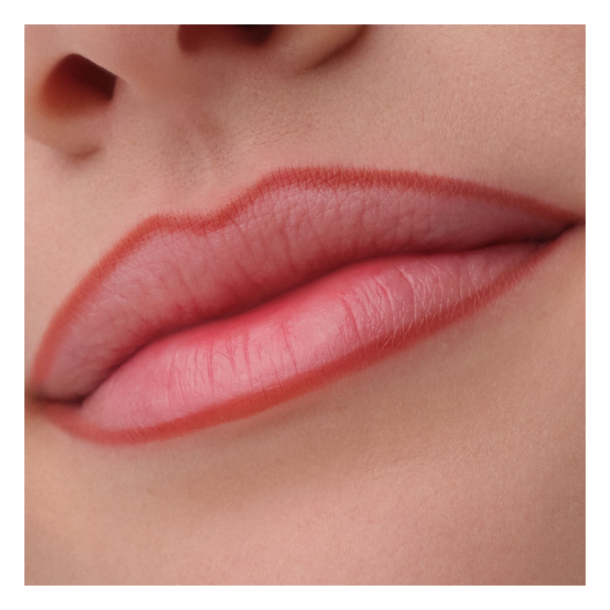 Precision Ink Lip Liner Stain Precision Ink Lip Liner Stain