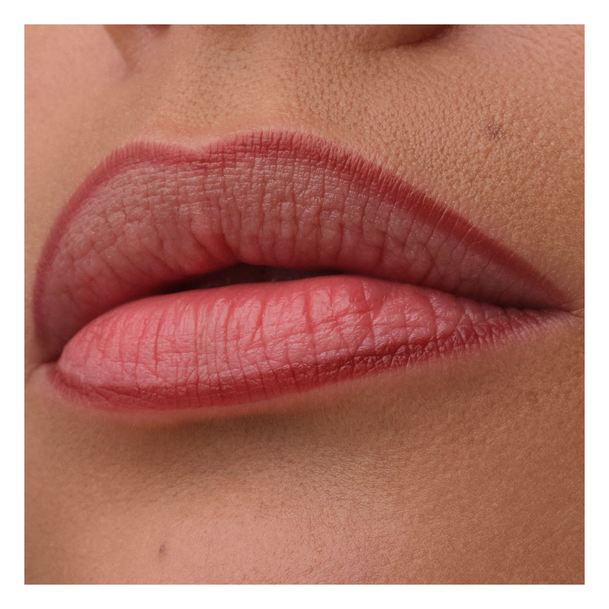 Precision Ink Lip Liner Stain Precision Ink Lip Liner Stain