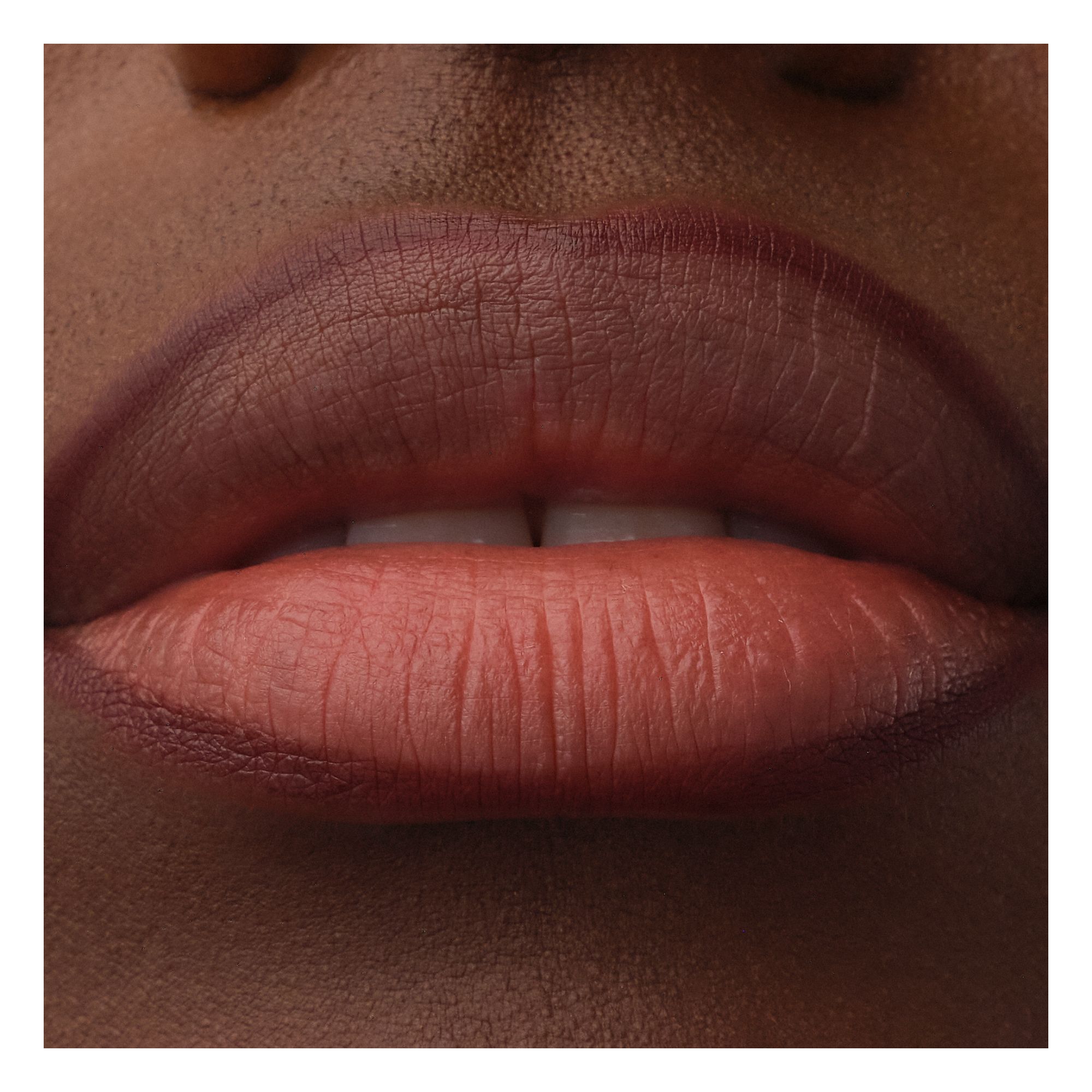 Precision Ink Lip Liner Stain
