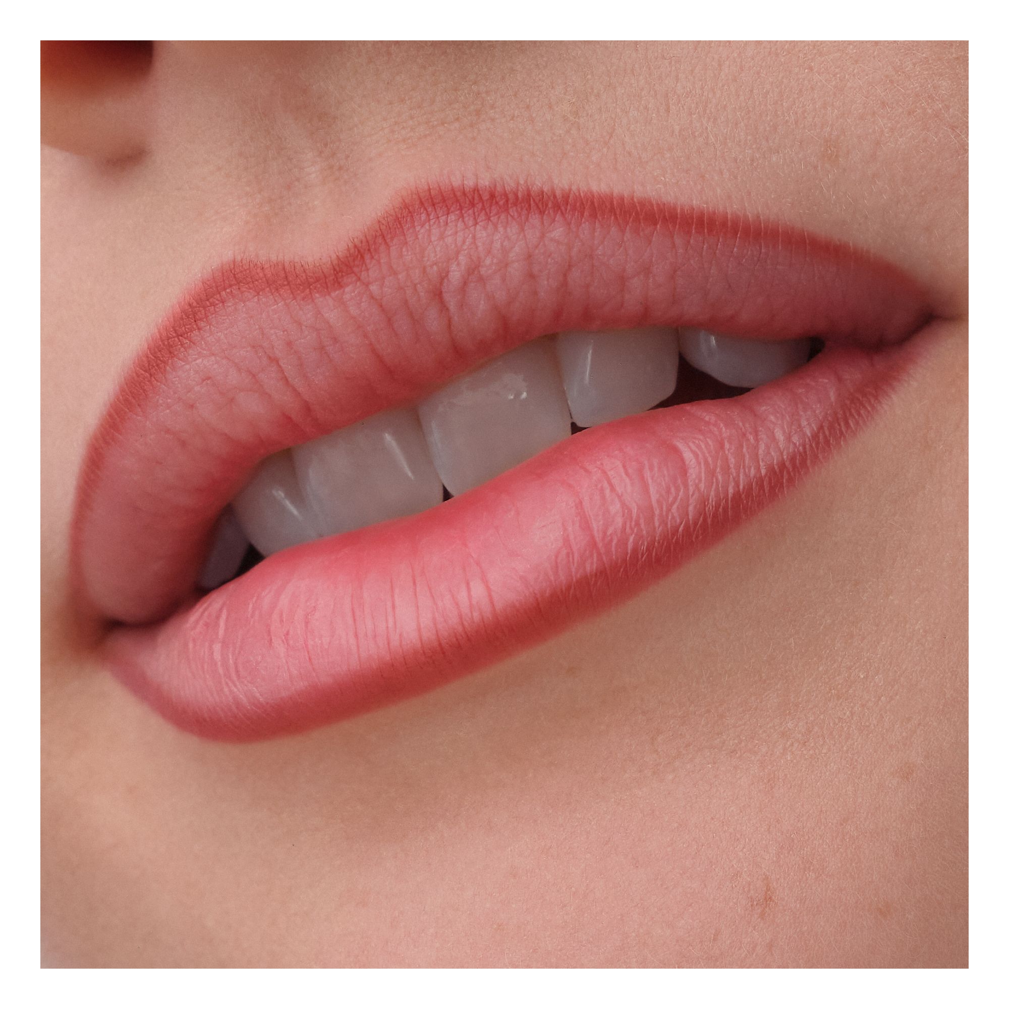 Precision Ink Lip Liner Stain Precision Ink Lip Liner Stain