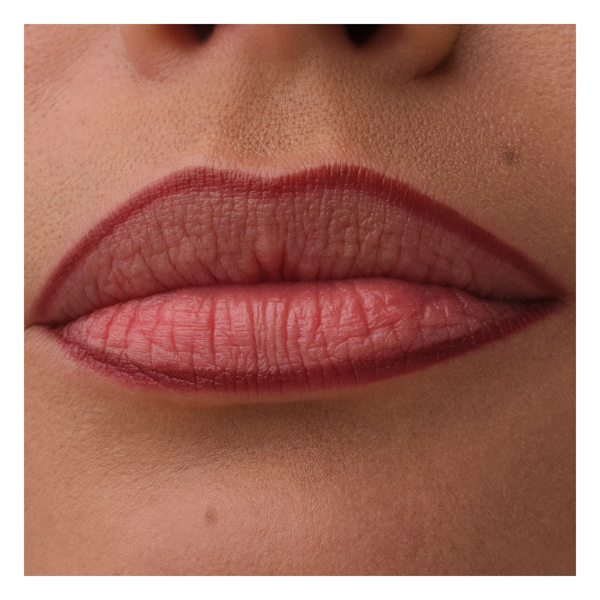 Precision Ink Lip Liner Stain