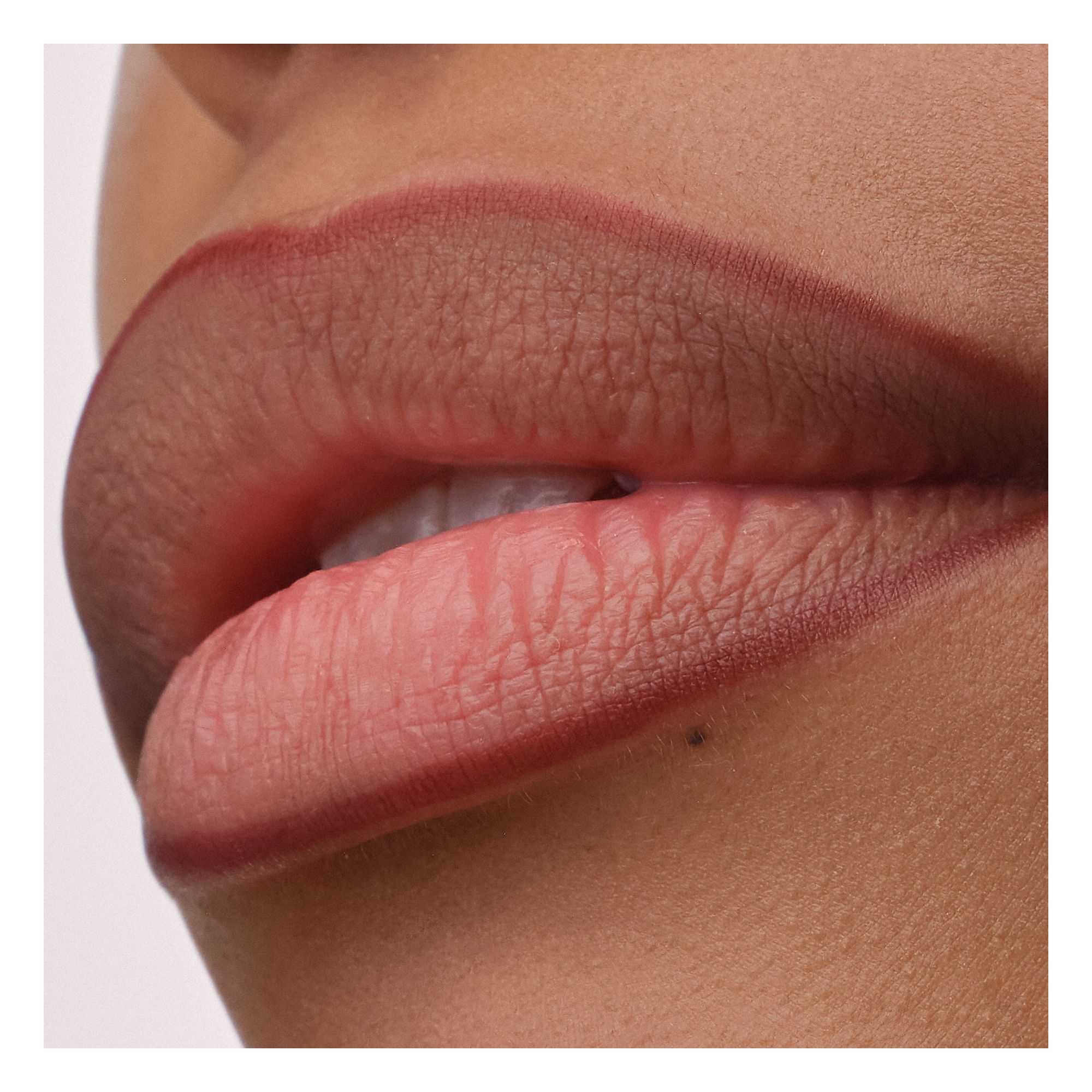 Precision Ink Lip Liner Stain
