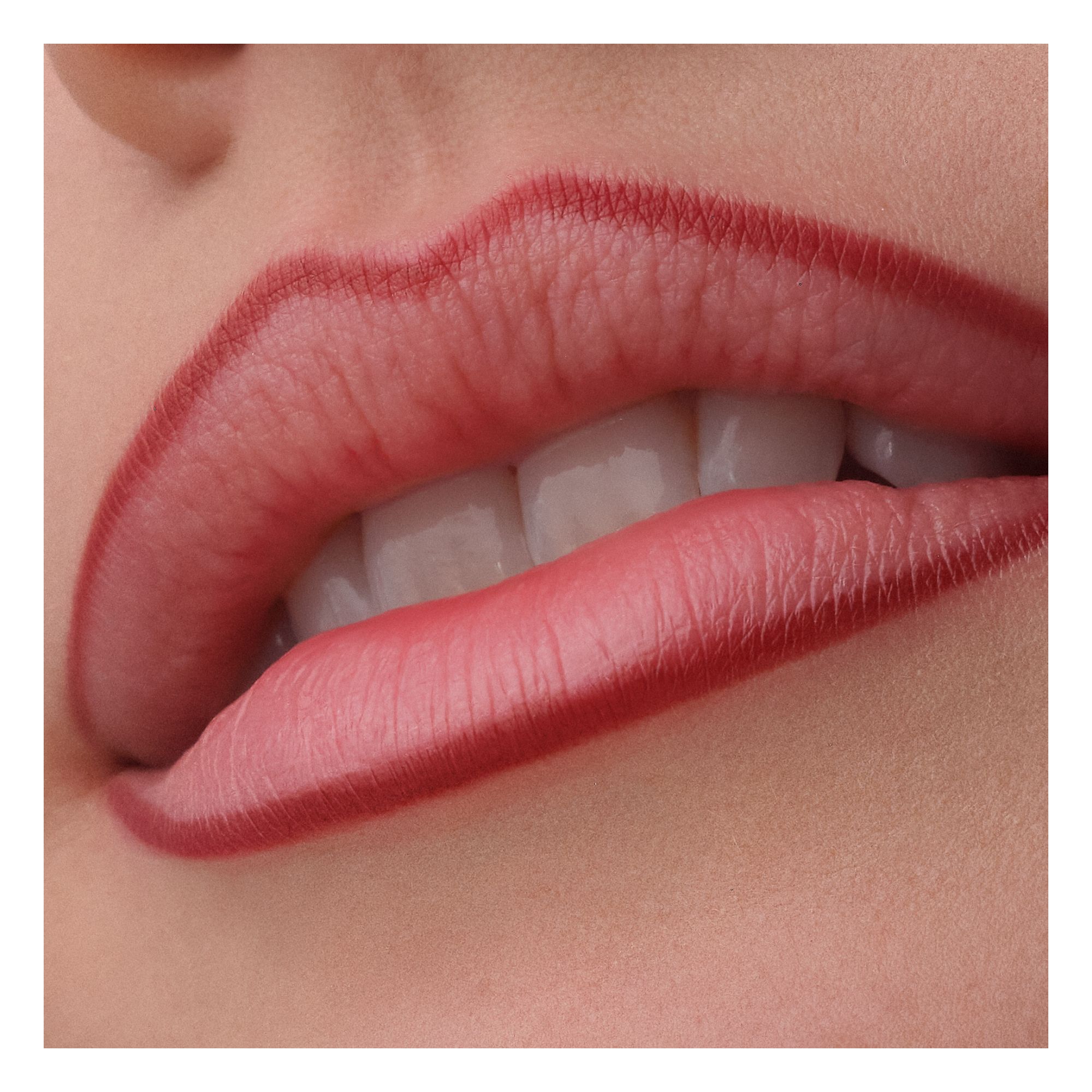 Precision Ink Lip Liner Stain