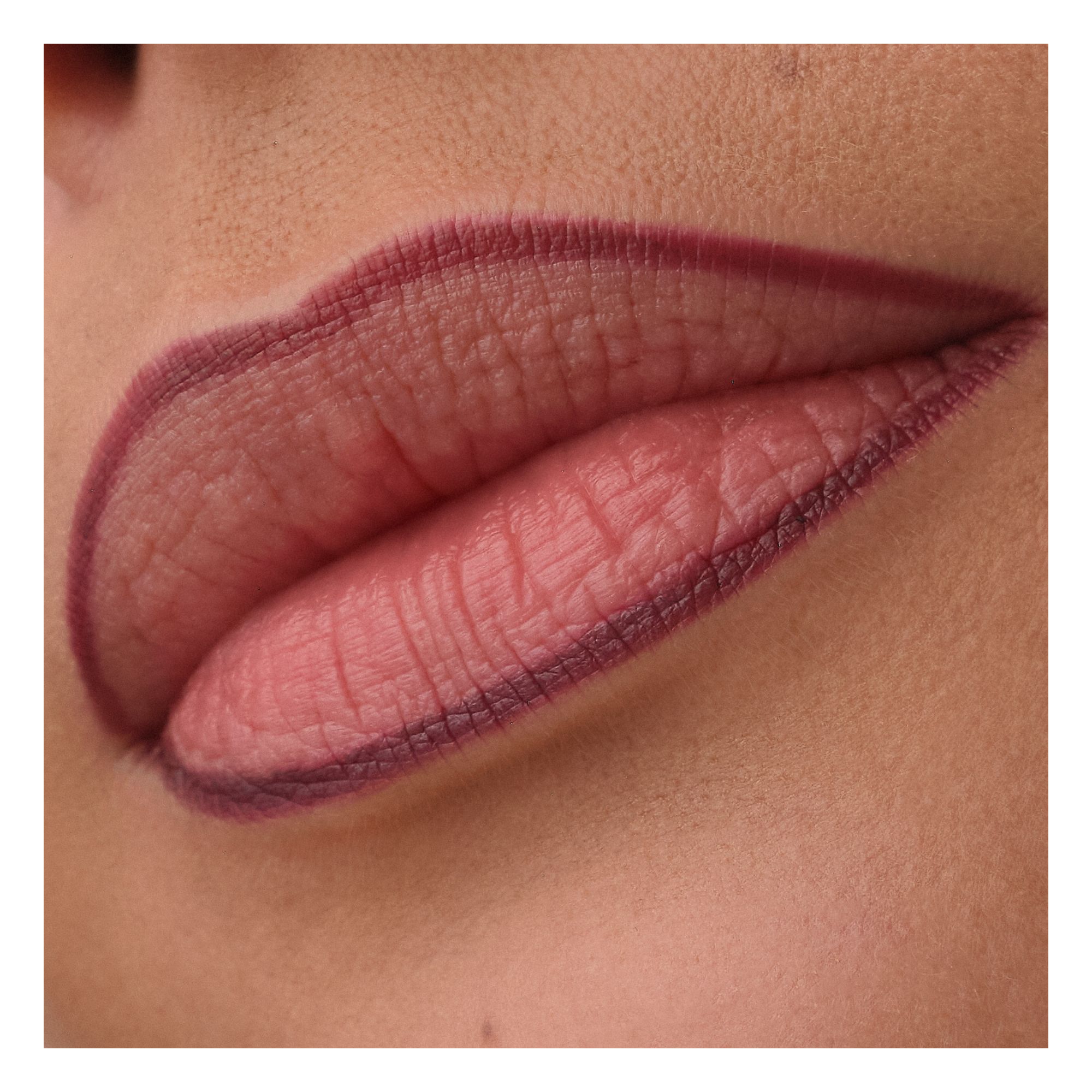 Precision Ink Lip Liner Stain Precision Ink Lip Liner Stain