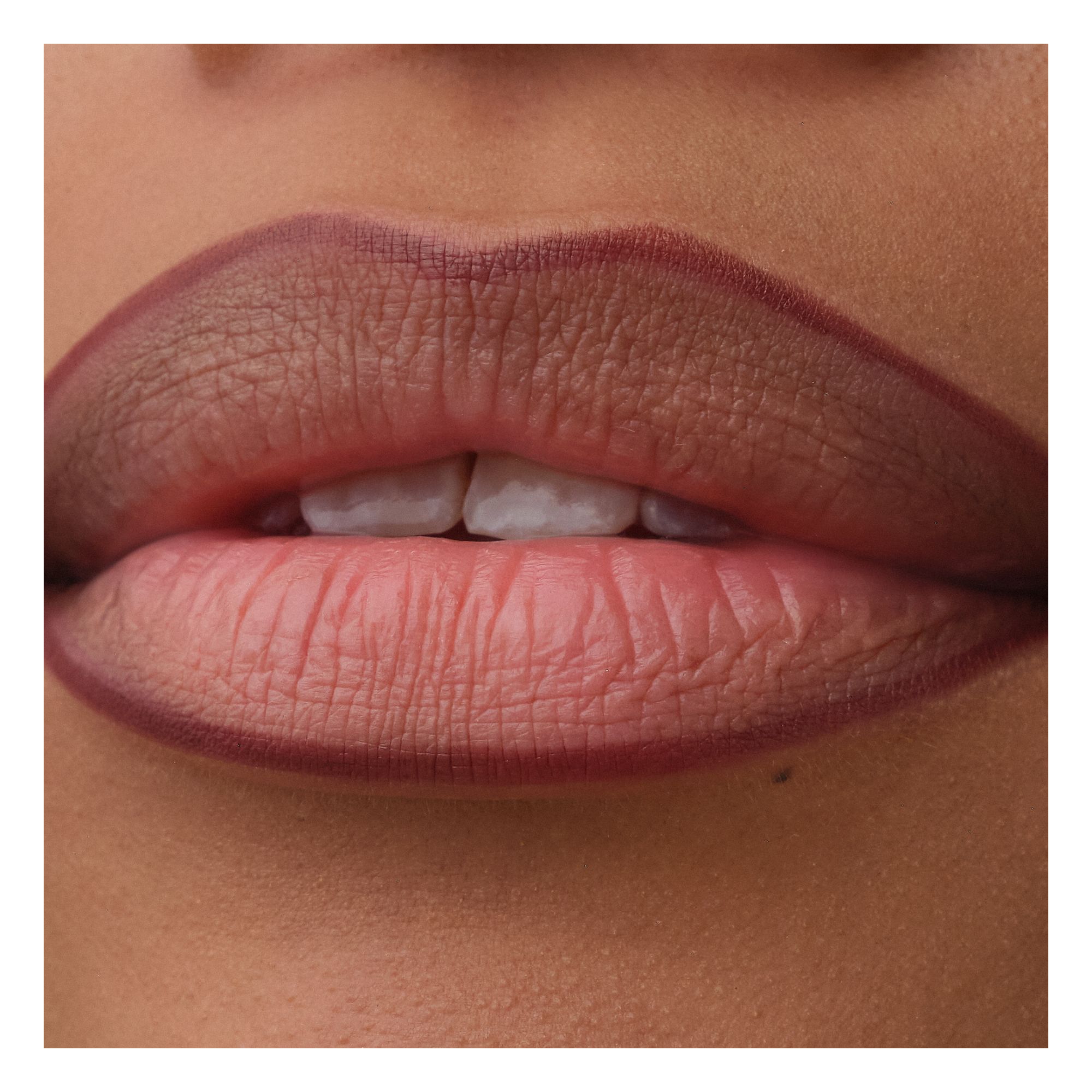 Precision Ink Lip Liner Stain
