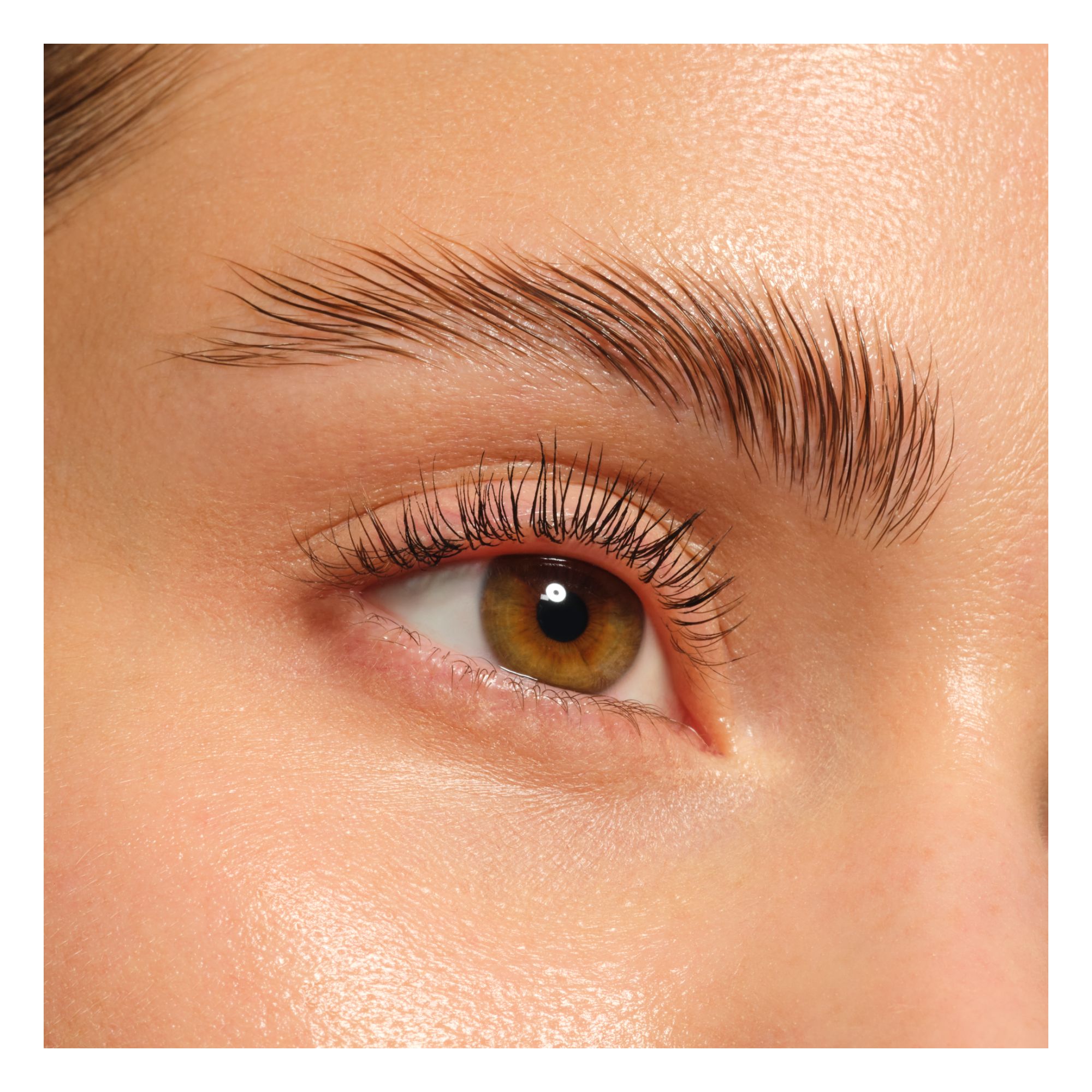 Brow Lifter Extreme -- Augenbrauen-Gel