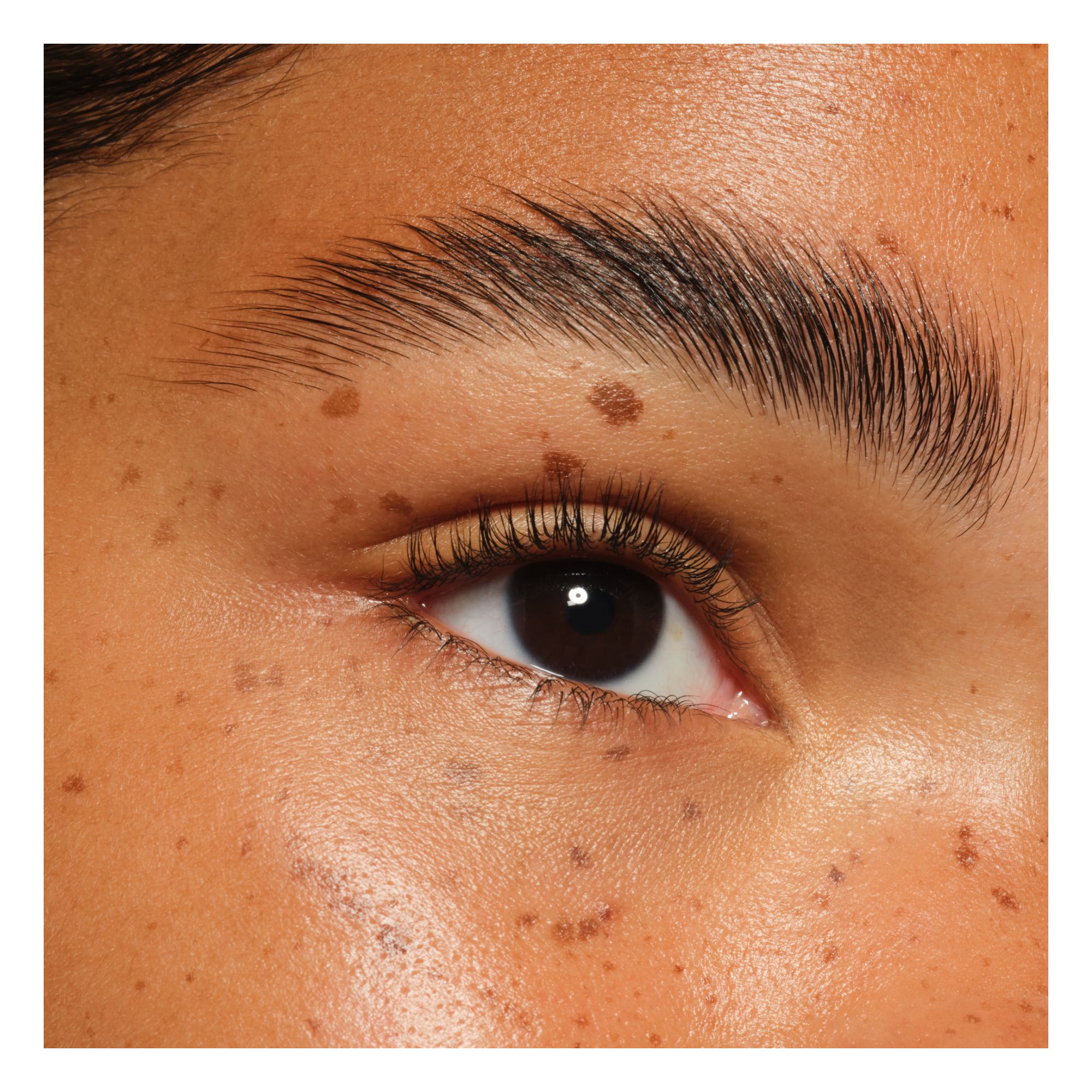 Brow Lifter Extreme -- Augenbrauen-Gel