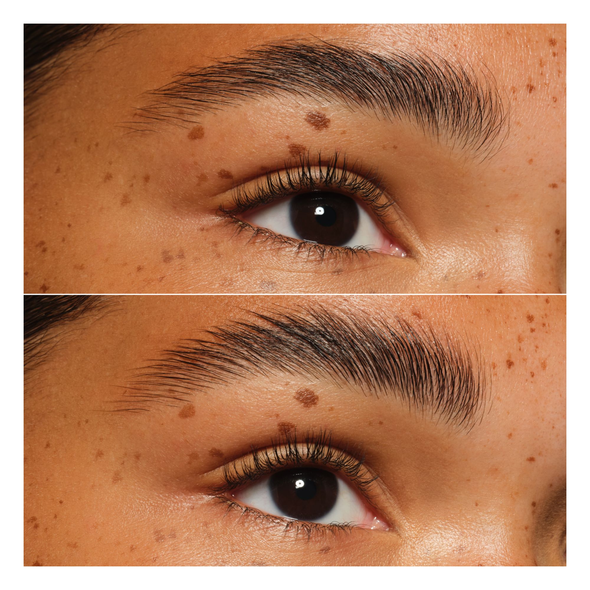 Brow Lifter Extreme -- Augenbrauen-Gel