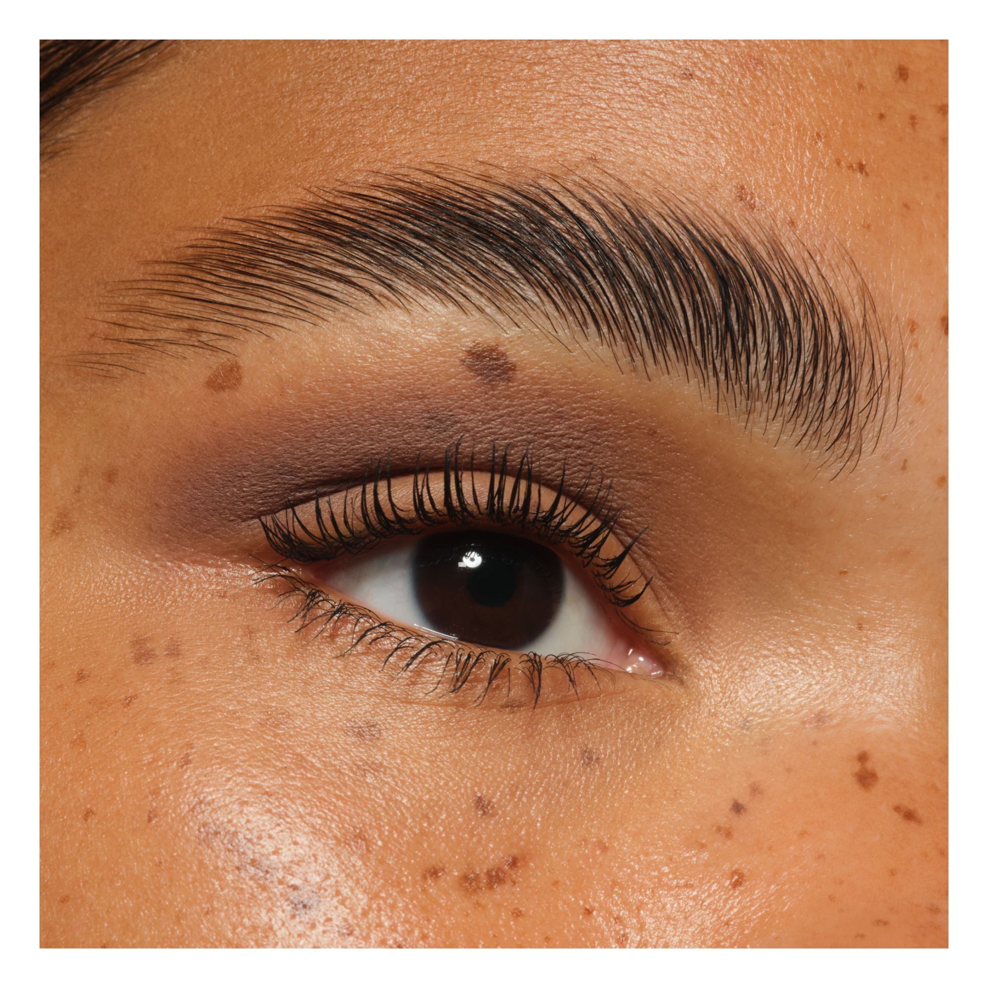 Fards Crème - Cream Eyeshadow Matte Fards Crème - Cream Eyeshadow Matte