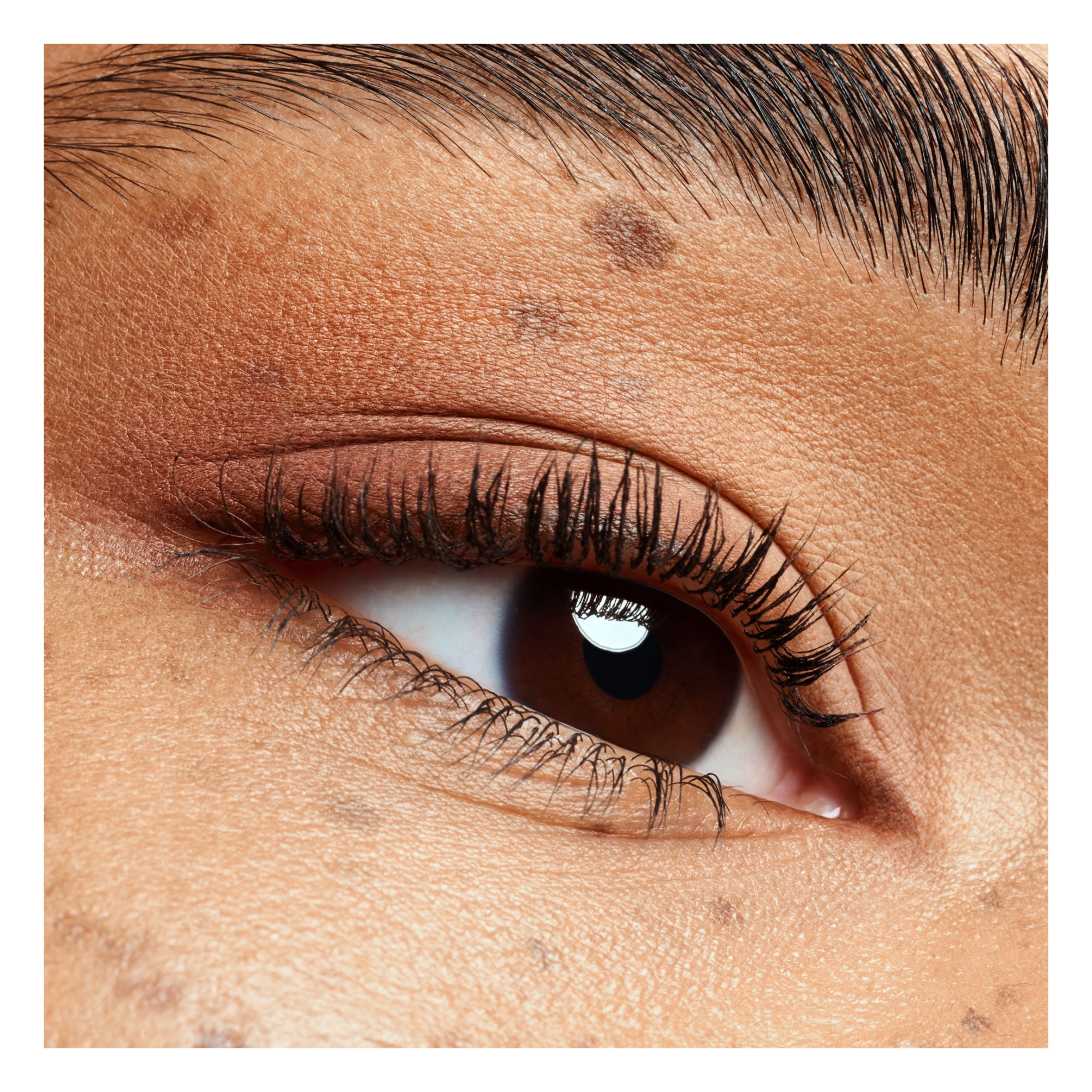 The Rose Edition Mini Eyeshadow Palette