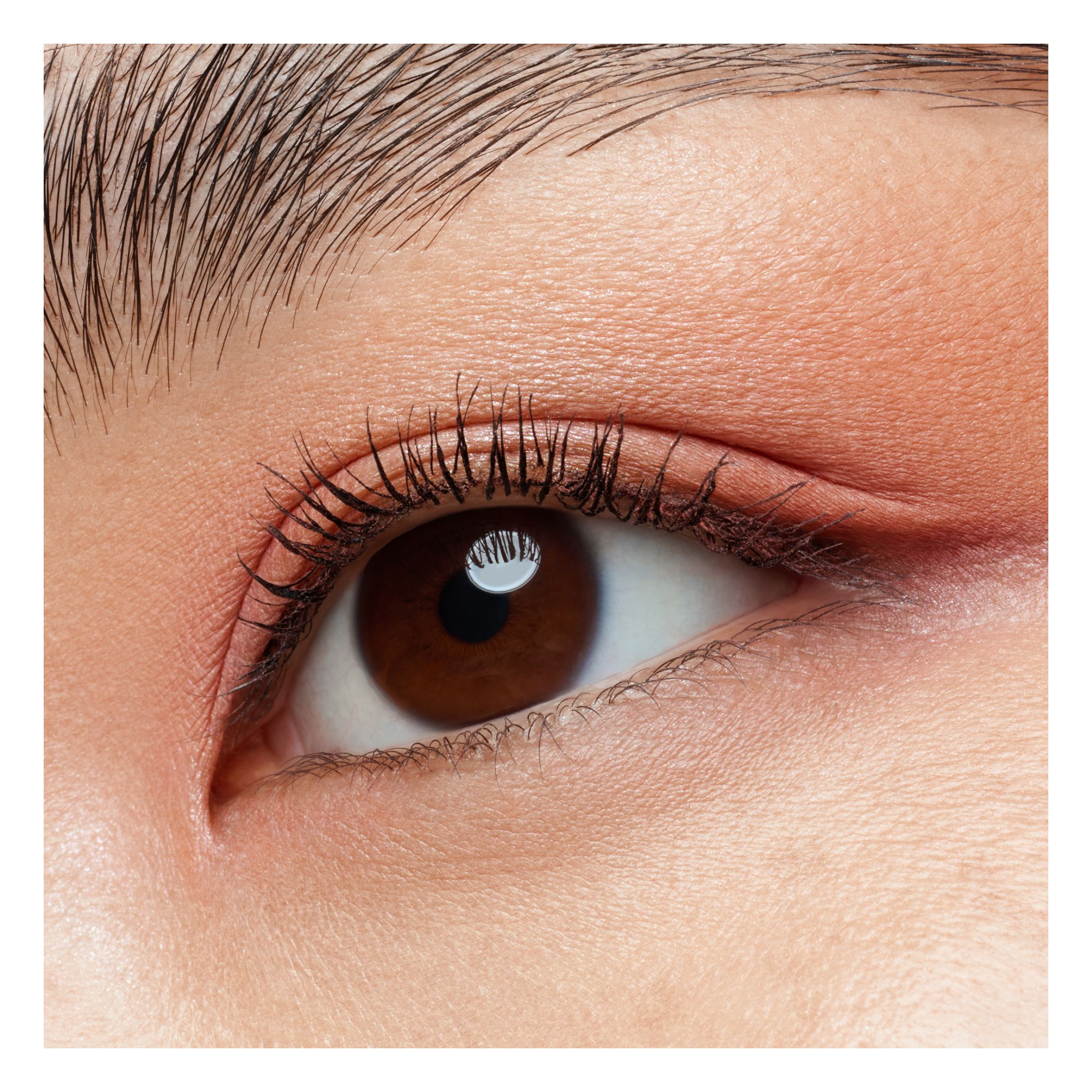 The Rose Edition Mini Eyeshadow Palette