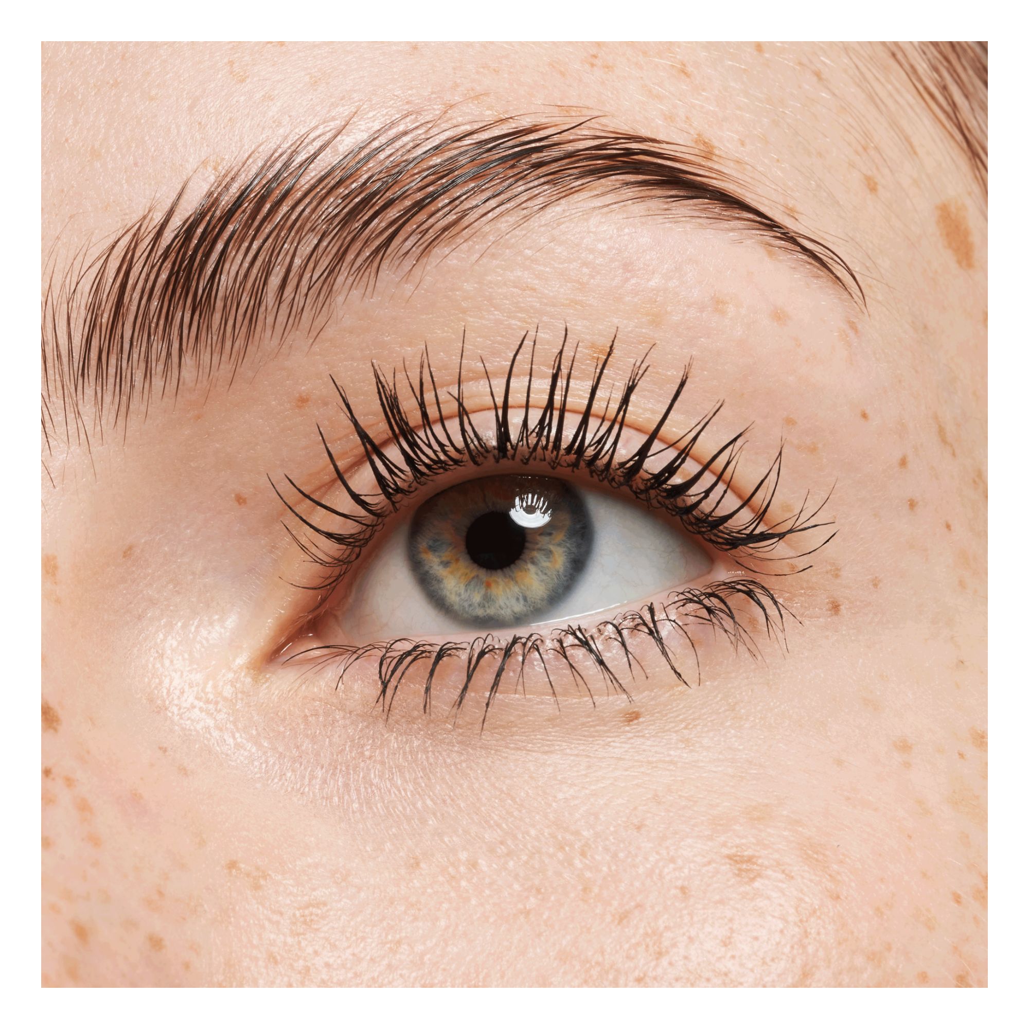 Make-Up Set - The Glam Perspective Nude Eye Set