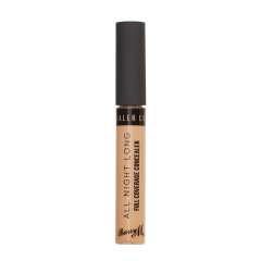 All Night Long Full Coverage Concealer