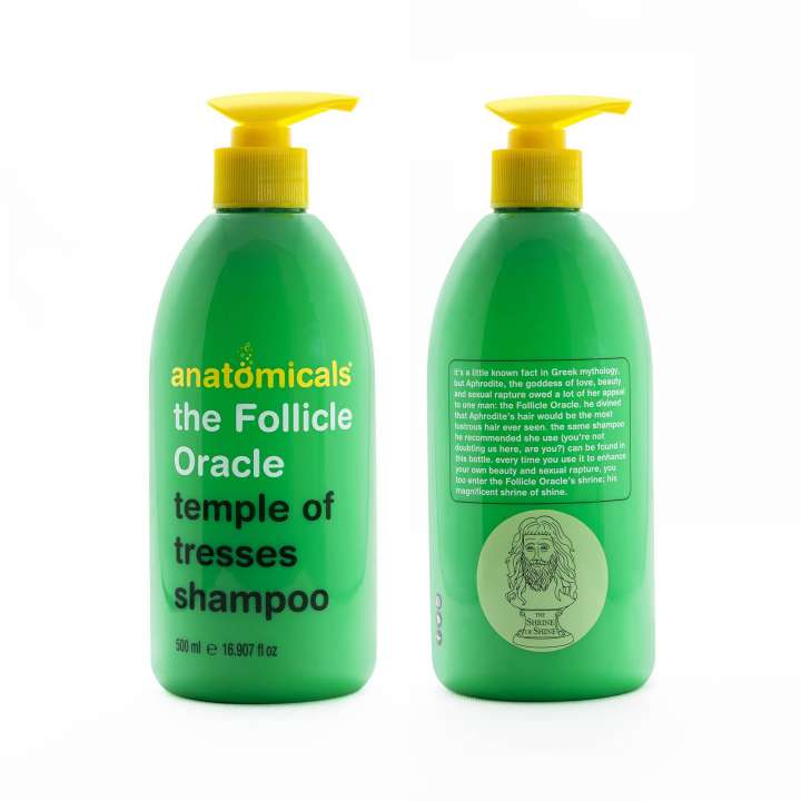 The Follicle Oracle - Temple Of Tresses Shampoo